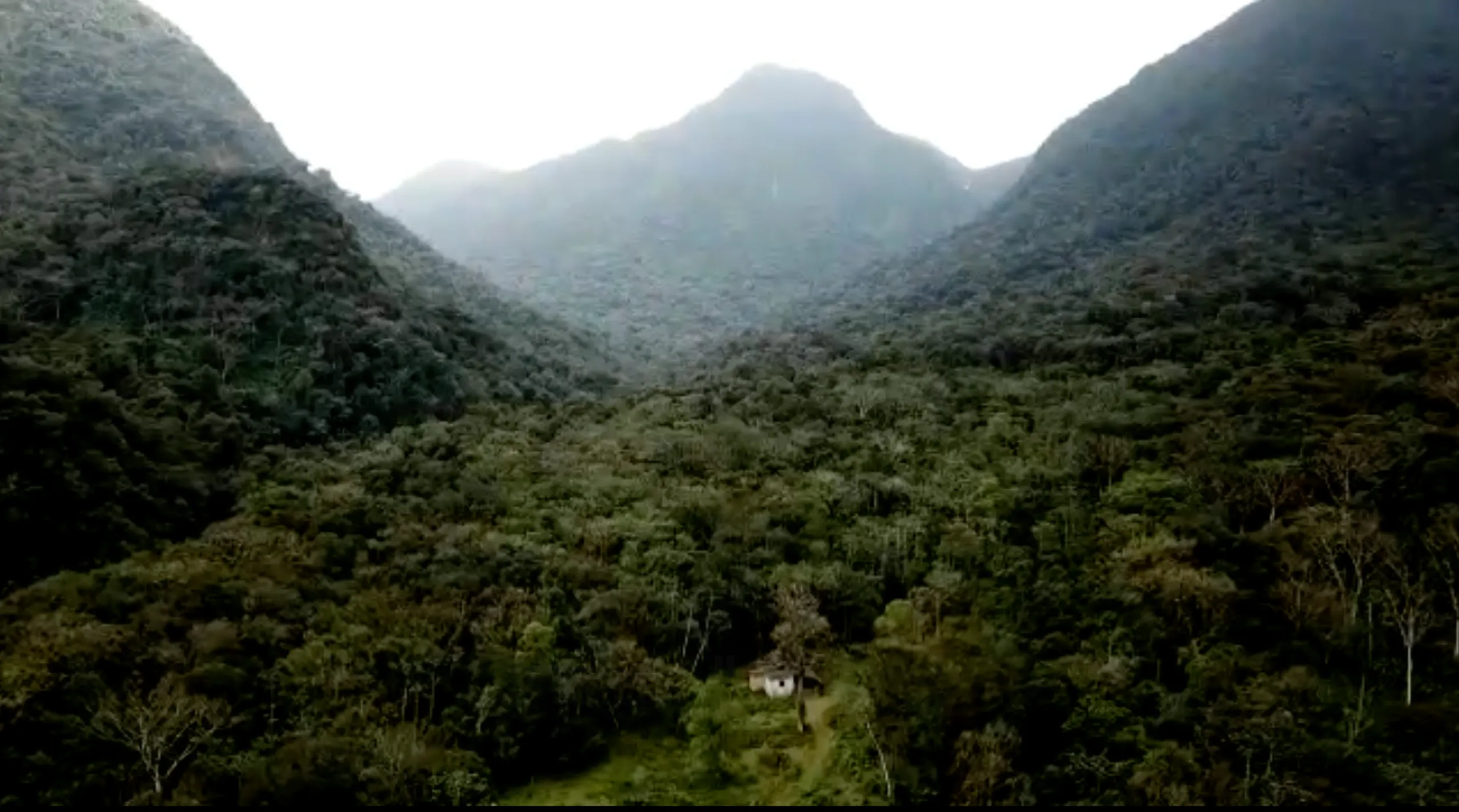 Small farm for sale of 157 acres in Morretes, PR, Brazil
