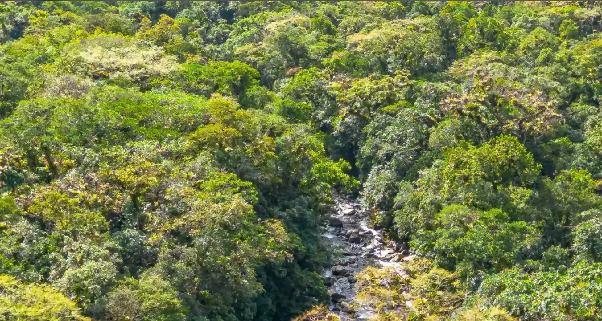 Small farm for sale of 157 acres in Morretes, PR, Brazil
