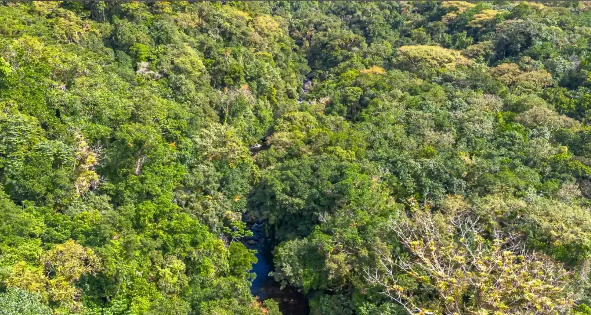 Small farm for sale of 157 acres in Morretes, PR, Brazil