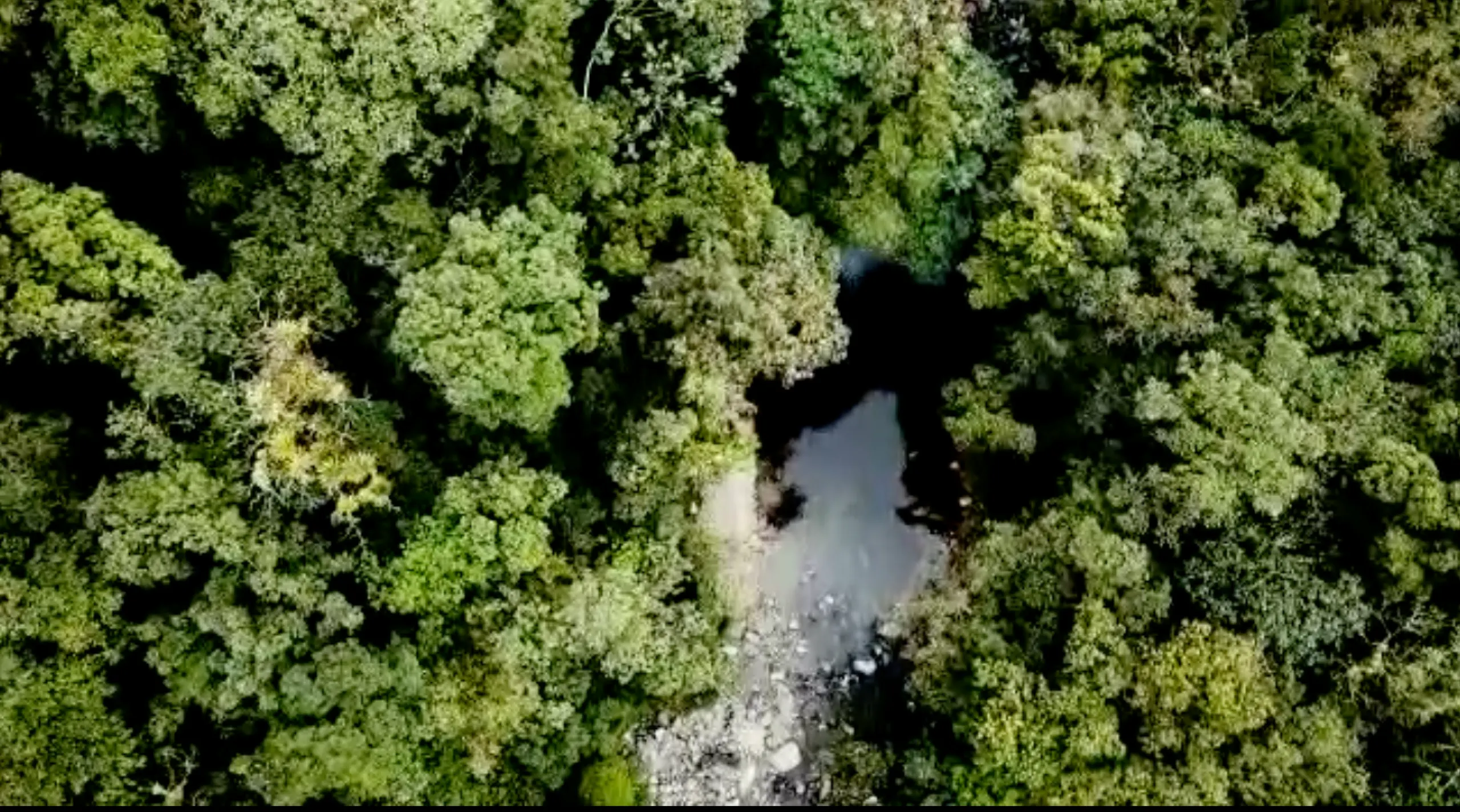 Small farm for sale of 157 acres in Morretes, PR, Brazil