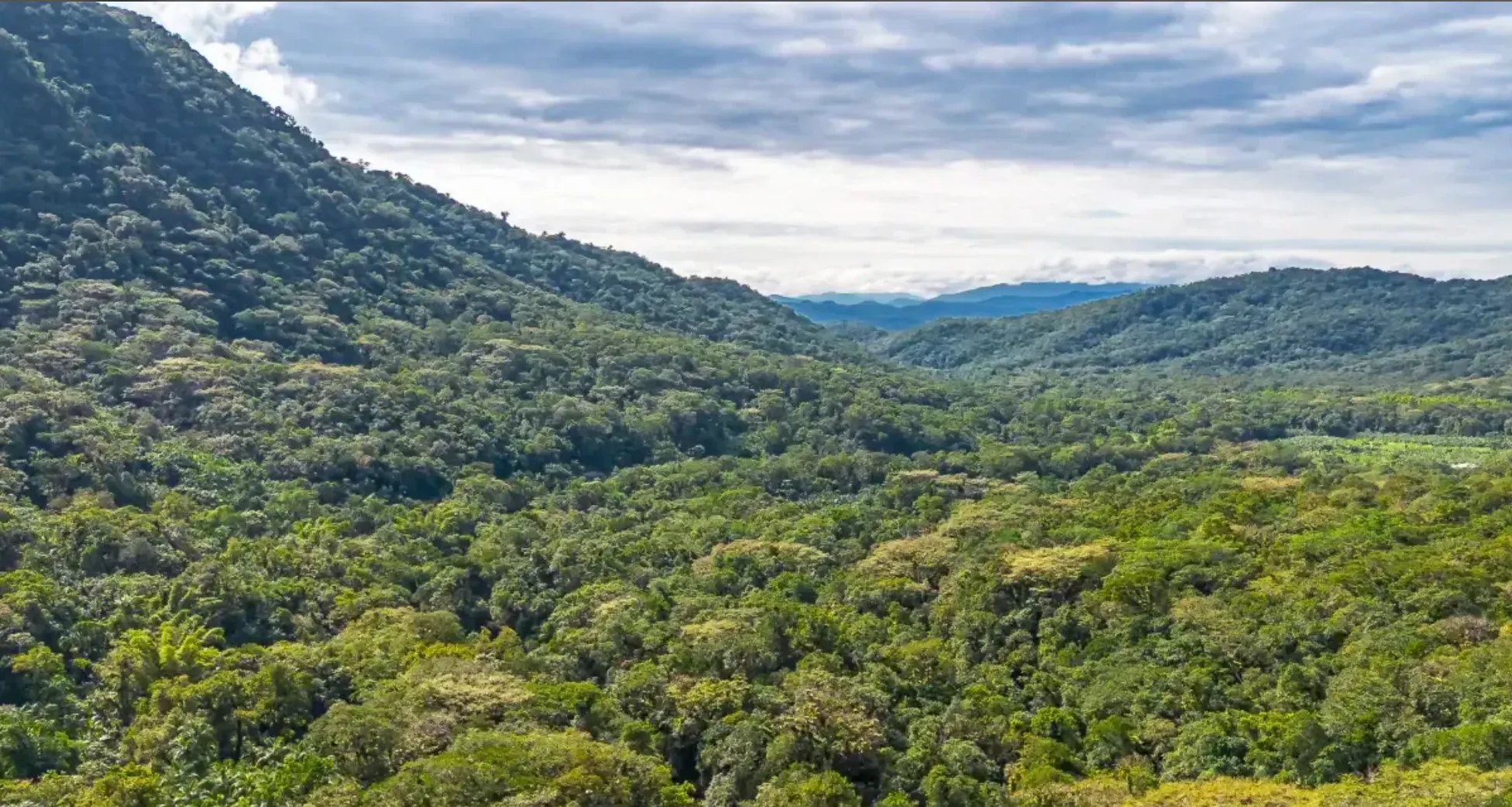 Small farm for sale of 157 acres in Morretes, PR, Brazil