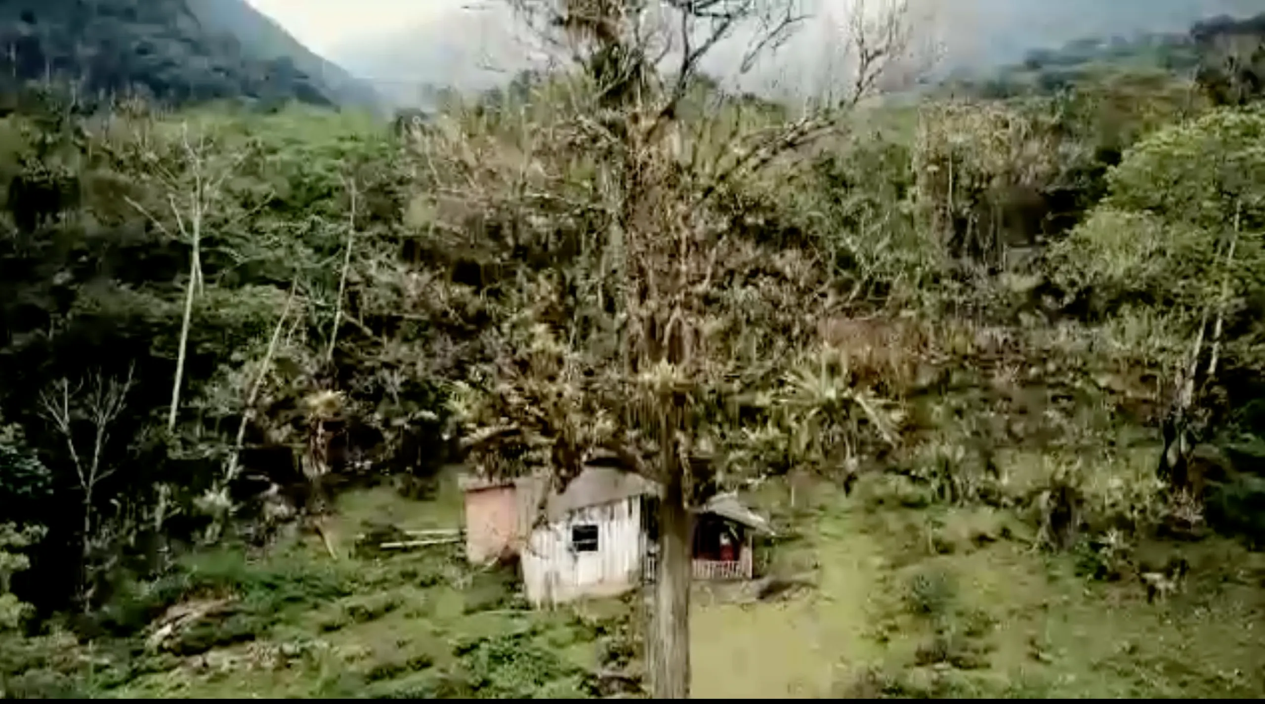 Small farm for sale of 157 acres in Morretes, PR, Brazil
