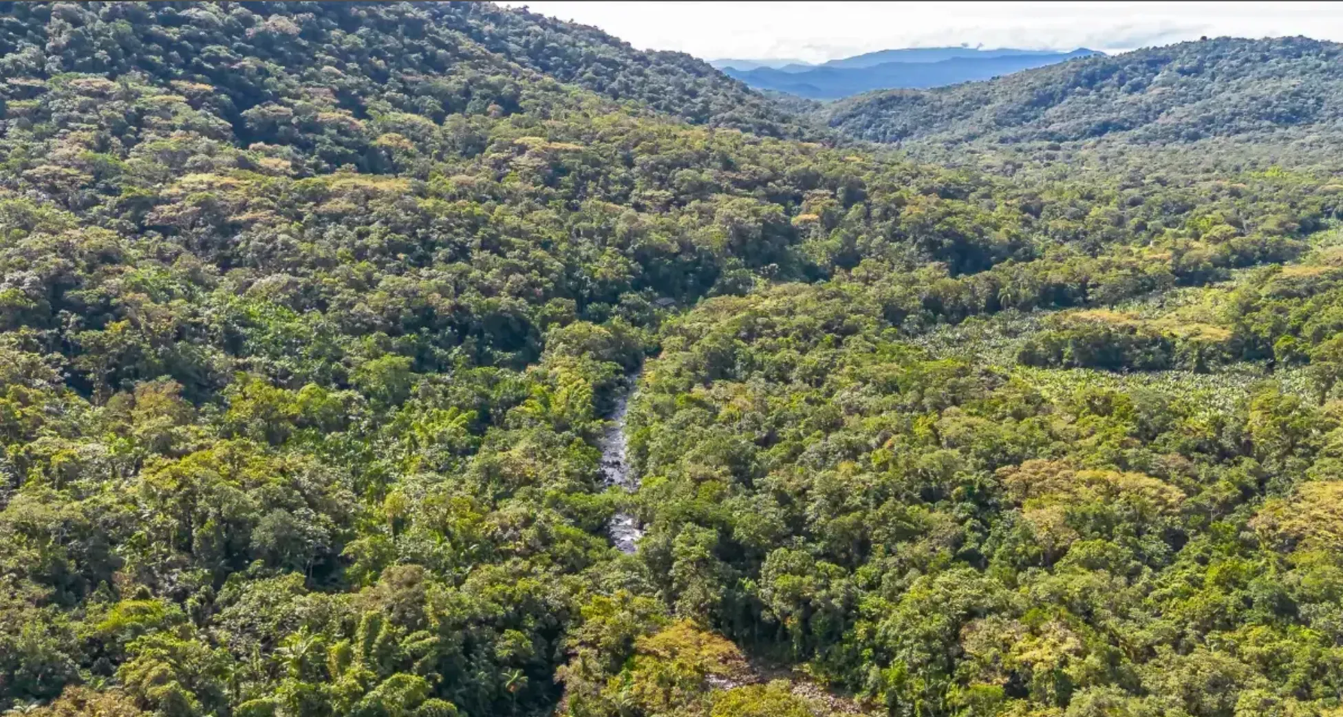 Small farm for sale of 157 acres in Morretes, PR, Brazil