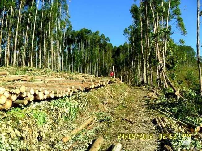 Fazenda à venda de 88 ha em São José dos Campos, SP, Brasil