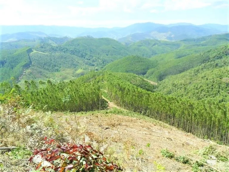 Fazenda à venda de 88 ha em São José dos Campos, SP, Brasil