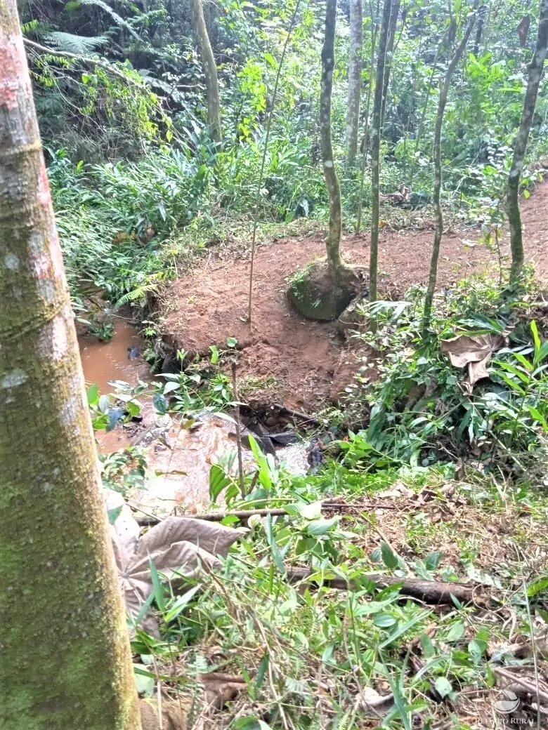Fazenda à venda de 88 ha em São José dos Campos, SP, Brasil