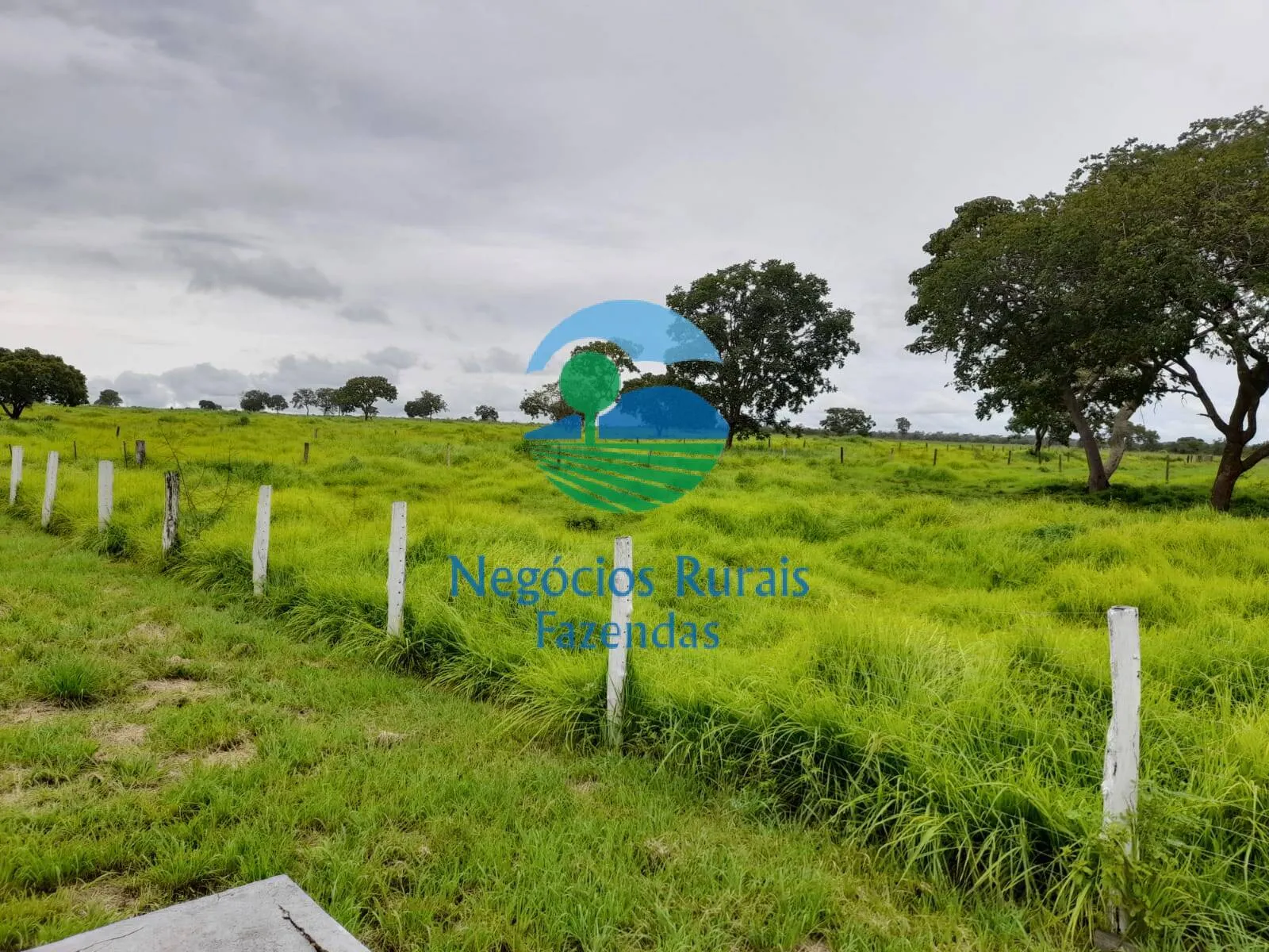 Farm for sale of 5,177 acres in Paranã, TO, Brazil