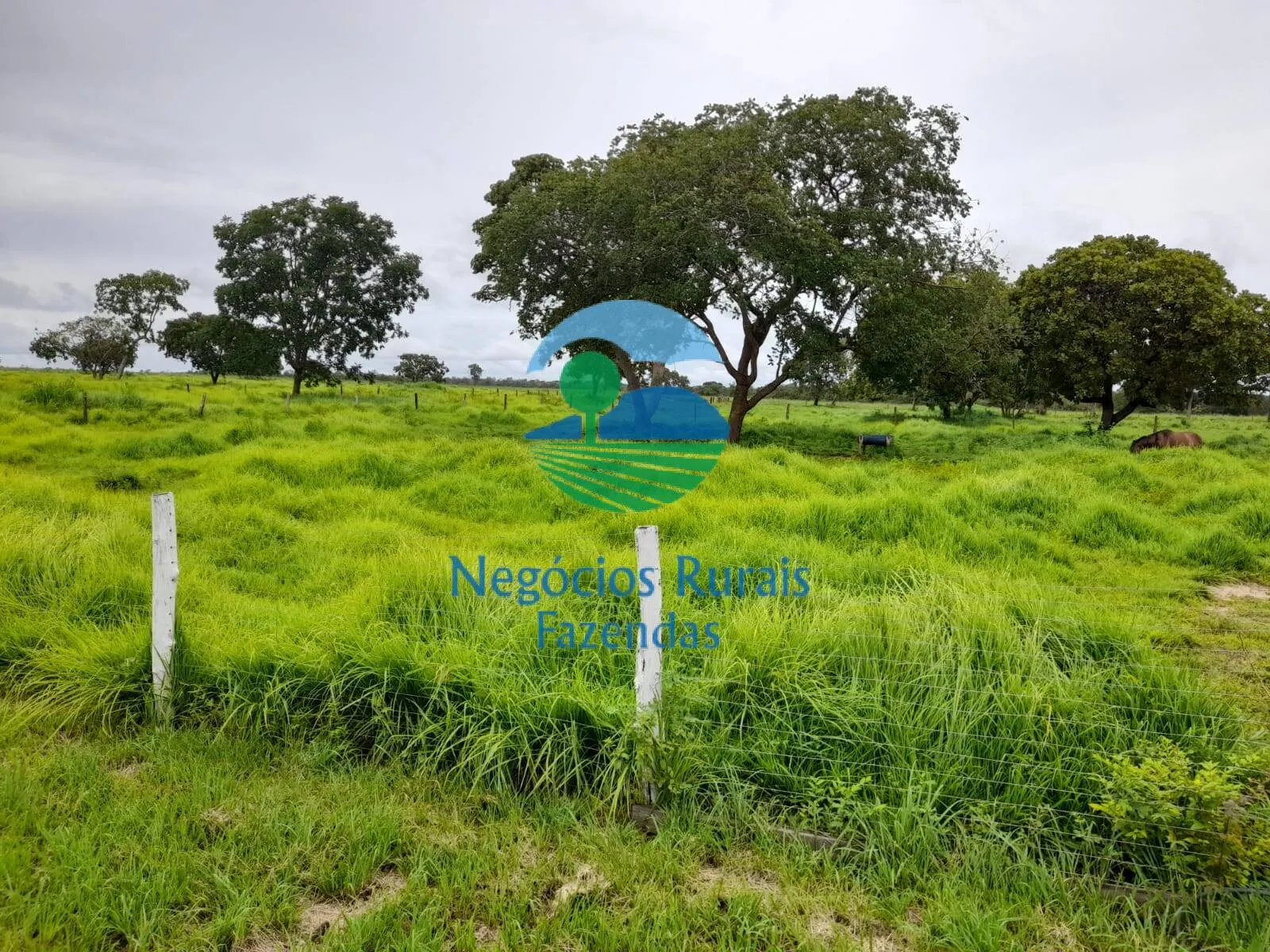 Farm for sale of 5,177 acres in Paranã, TO, Brazil