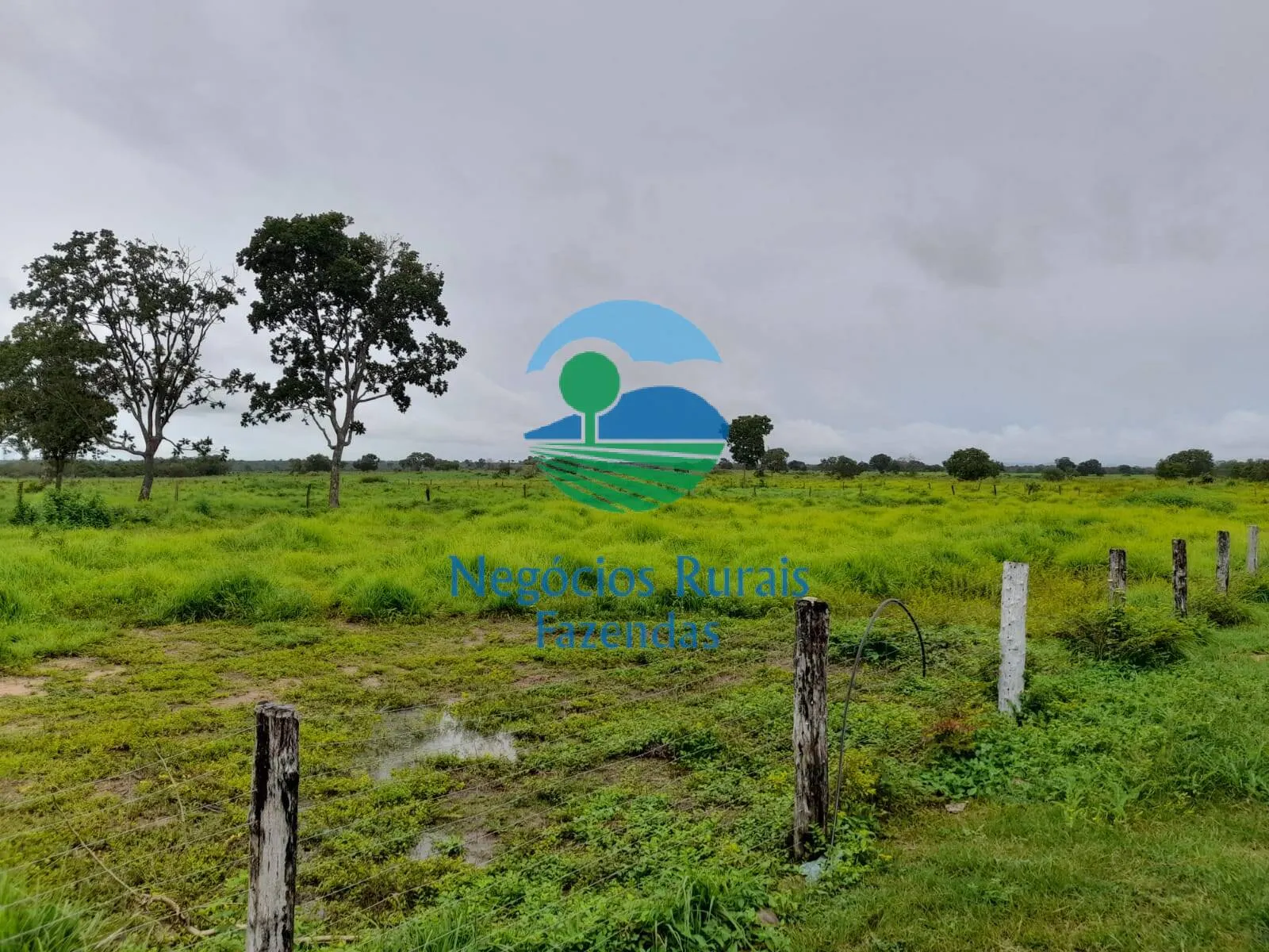Farm for sale of 5,177 acres in Paranã, TO, Brazil
