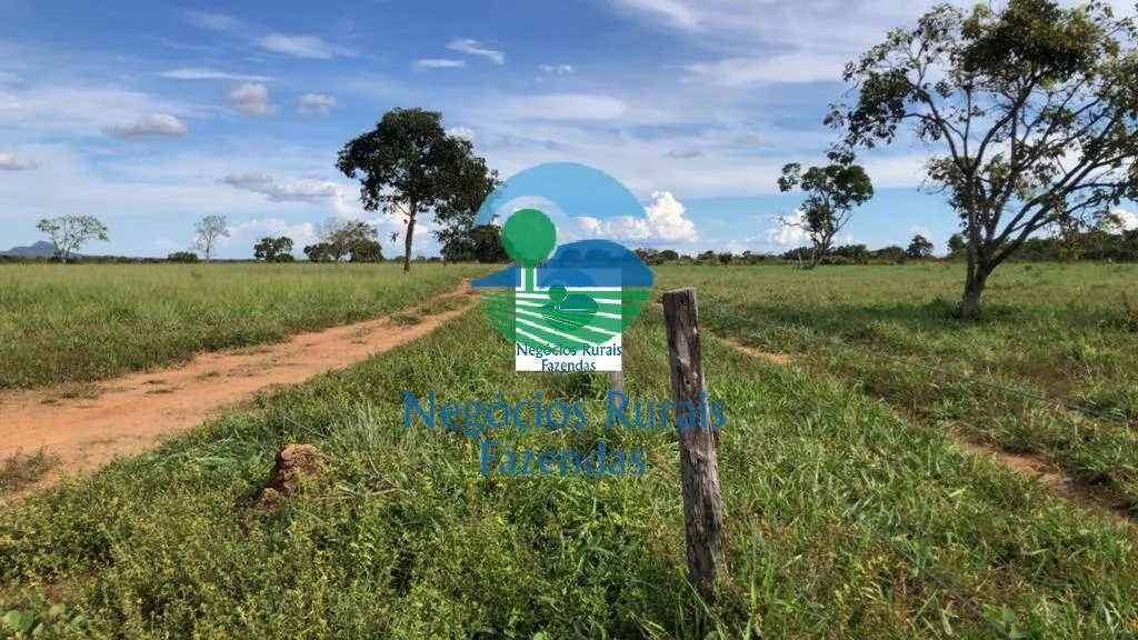 Farm for sale of 5,177 acres in Paranã, TO, Brazil