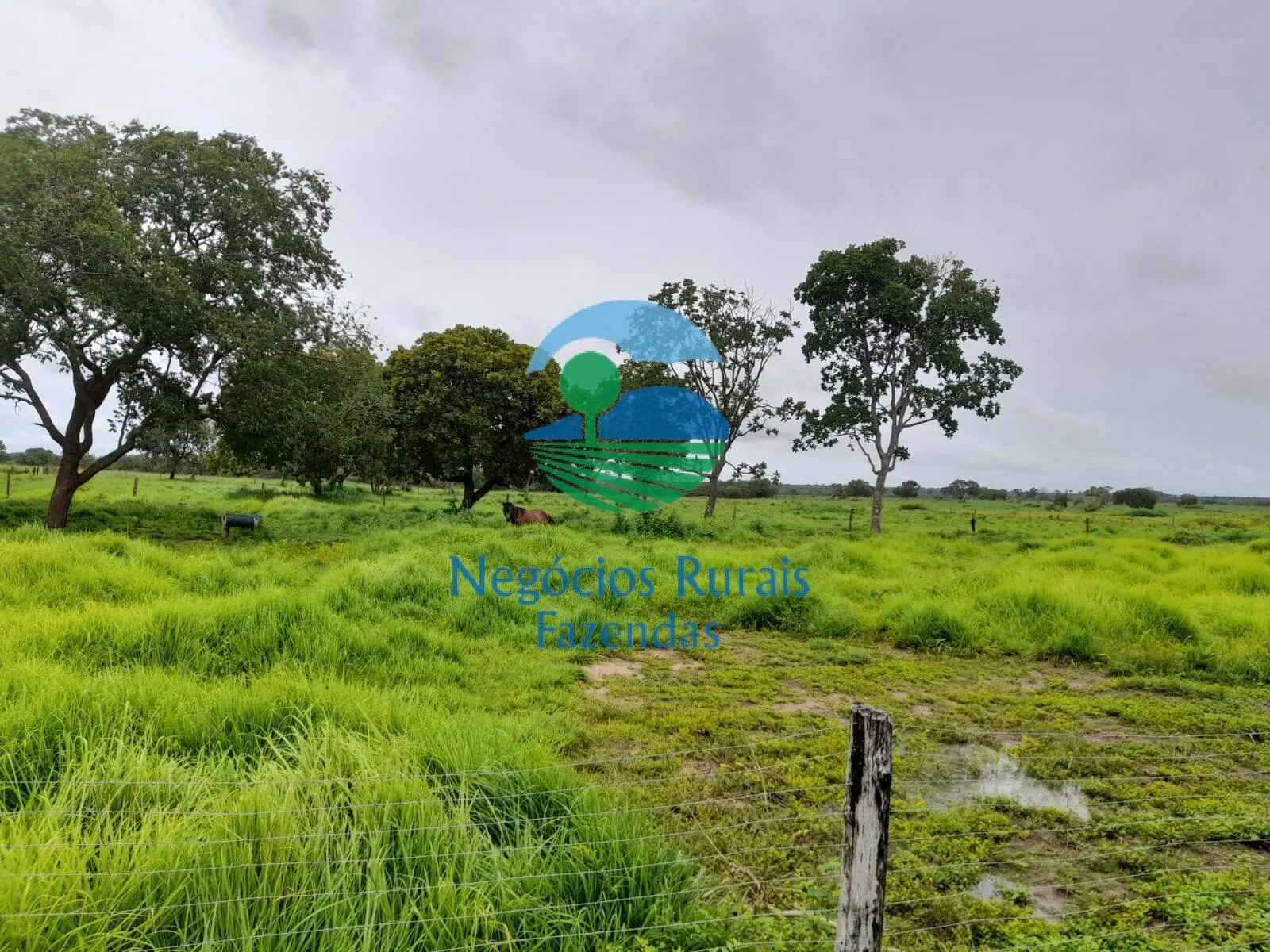 Farm for sale of 5,177 acres in Paranã, TO, Brazil