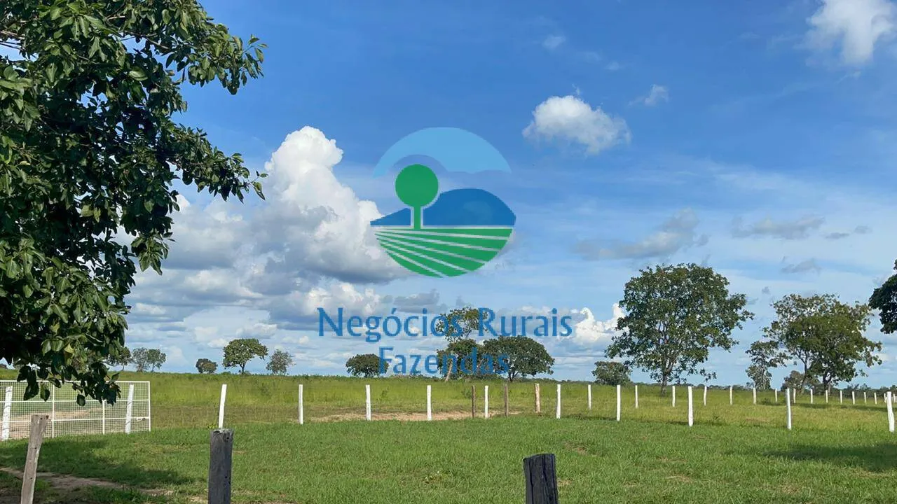 Farm for sale of 5,177 acres in Paranã, TO, Brazil