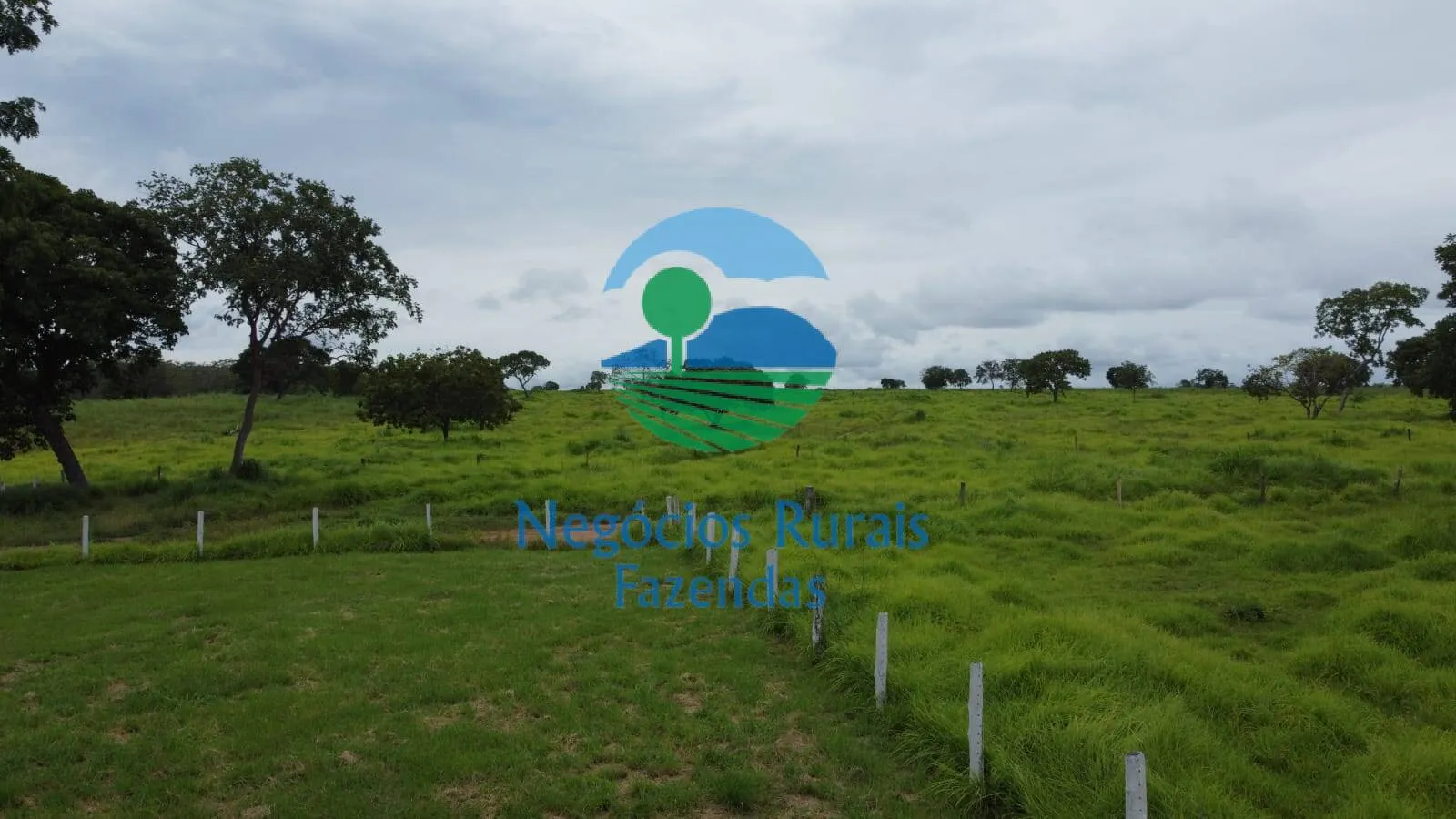 Farm for sale of 5,177 acres in Paranã, TO, Brazil