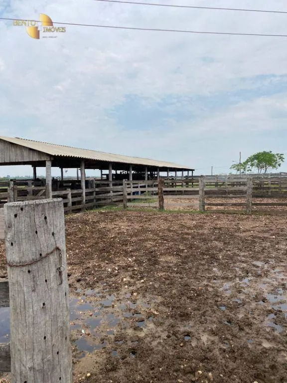 Fazenda à venda de 3.100 ha em Poconé, MT, Brasil