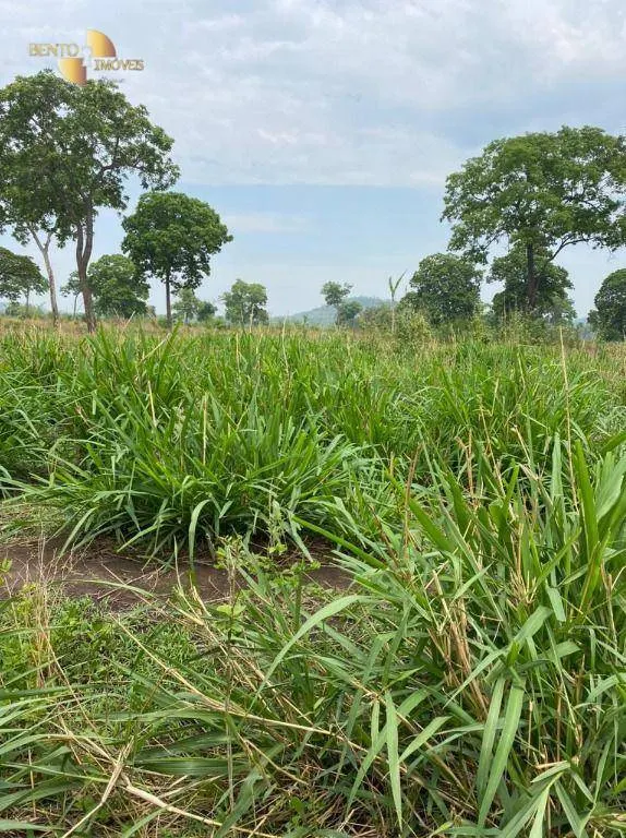 Fazenda à venda de 3.100 ha em Poconé, MT, Brasil