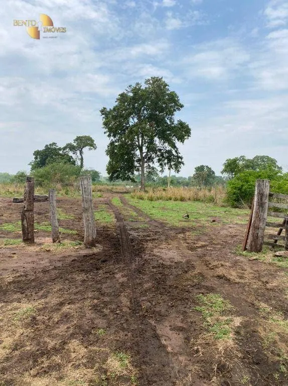 Fazenda à venda de 3.100 ha em Poconé, MT, Brasil