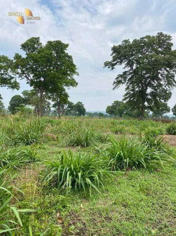 Fazenda à venda de 3.100 ha em Poconé, MT, Brasil
