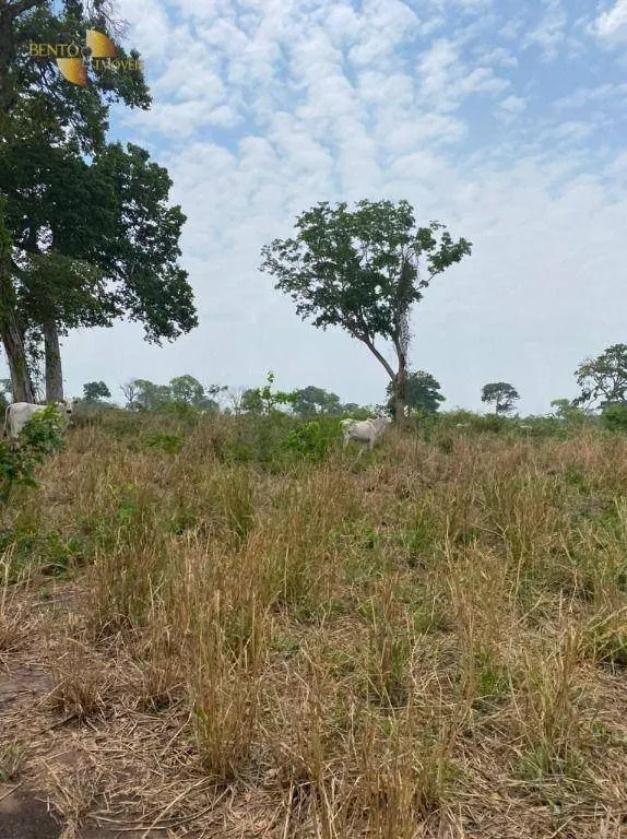Fazenda à venda de 3.100 ha em Poconé, MT, Brasil