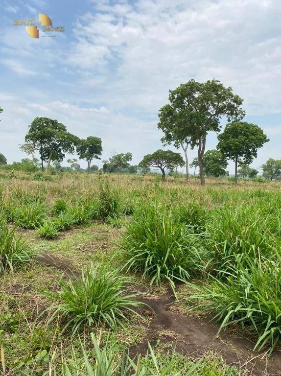 Fazenda à venda de 3.100 ha em Poconé, MT, Brasil