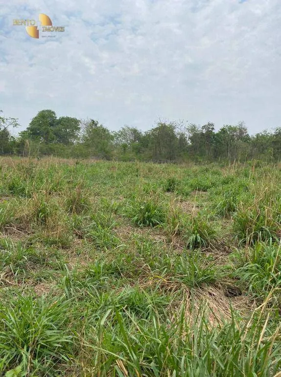 Fazenda à venda de 3.100 ha em Poconé, MT, Brasil