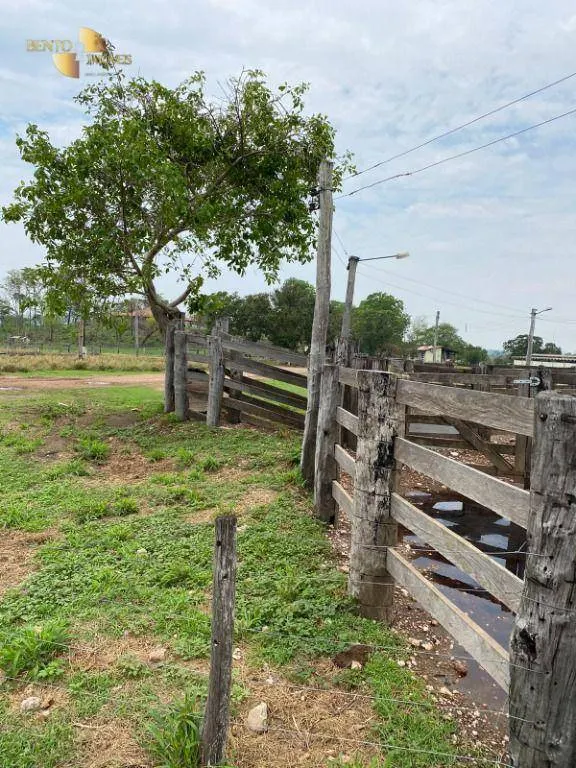 Fazenda à venda de 3.100 ha em Poconé, MT, Brasil