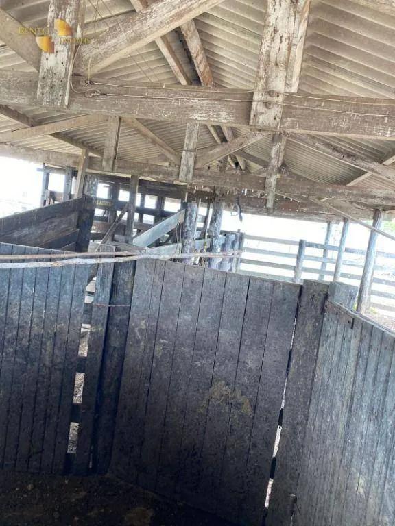 Fazenda à venda de 3.100 ha em Poconé, MT, Brasil