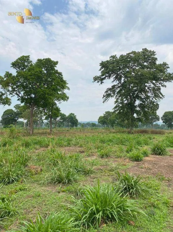 Fazenda à venda de 3.100 ha em Poconé, MT, Brasil