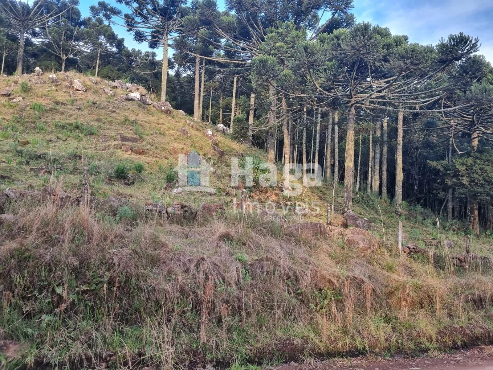 Fazenda à venda de 5 ha em Bom Jardim da Serra, SC, Brasil