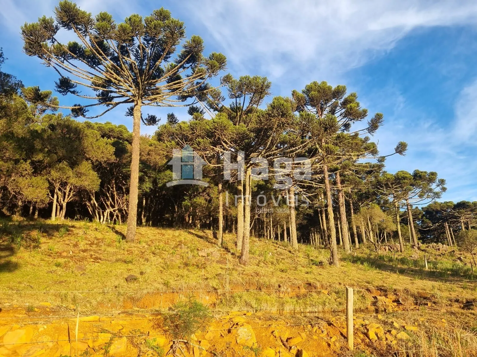 Fazenda à venda de 5 ha em Bom Jardim da Serra, SC, Brasil