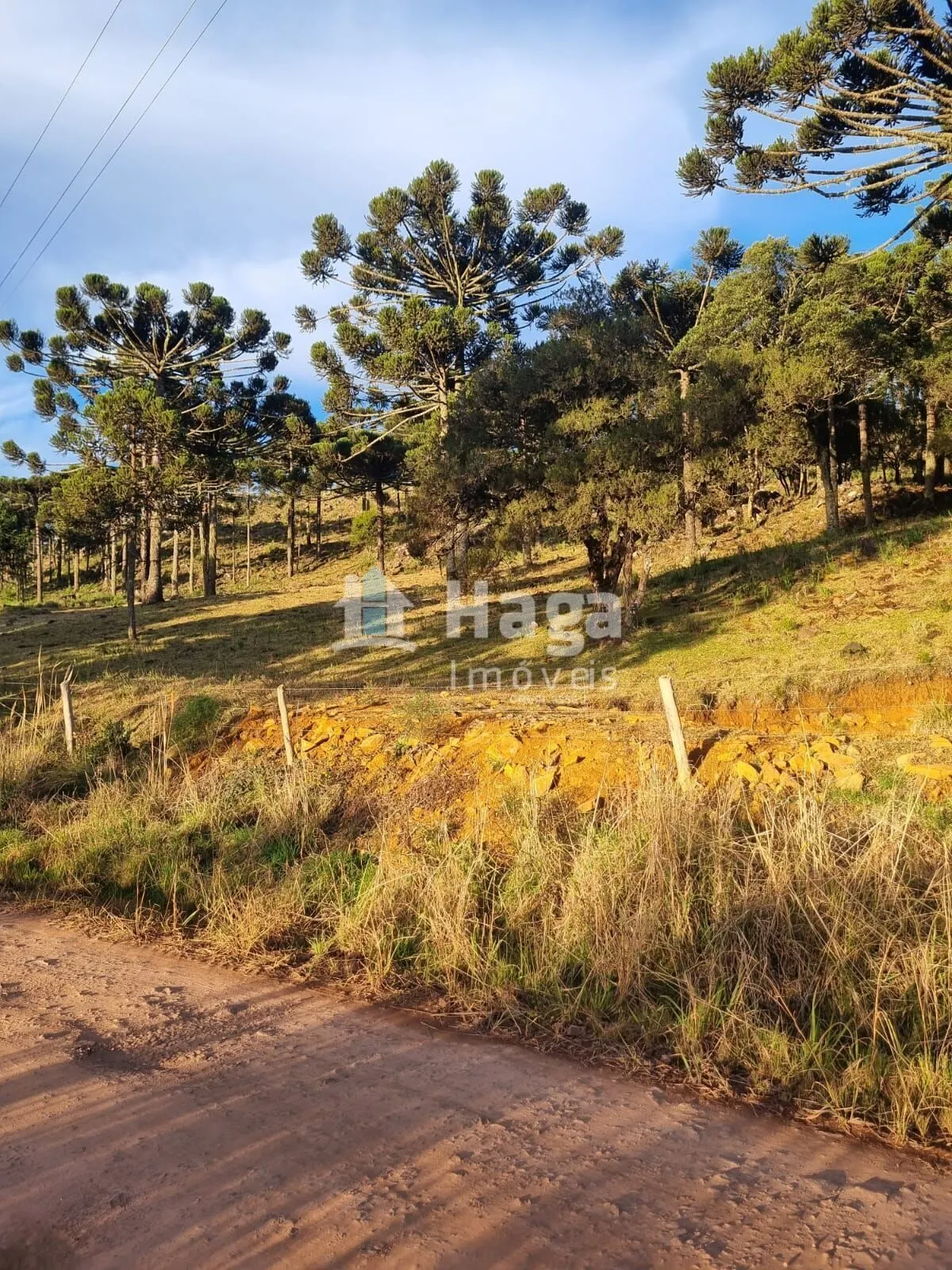 Fazenda à venda de 5 ha em Bom Jardim da Serra, SC, Brasil