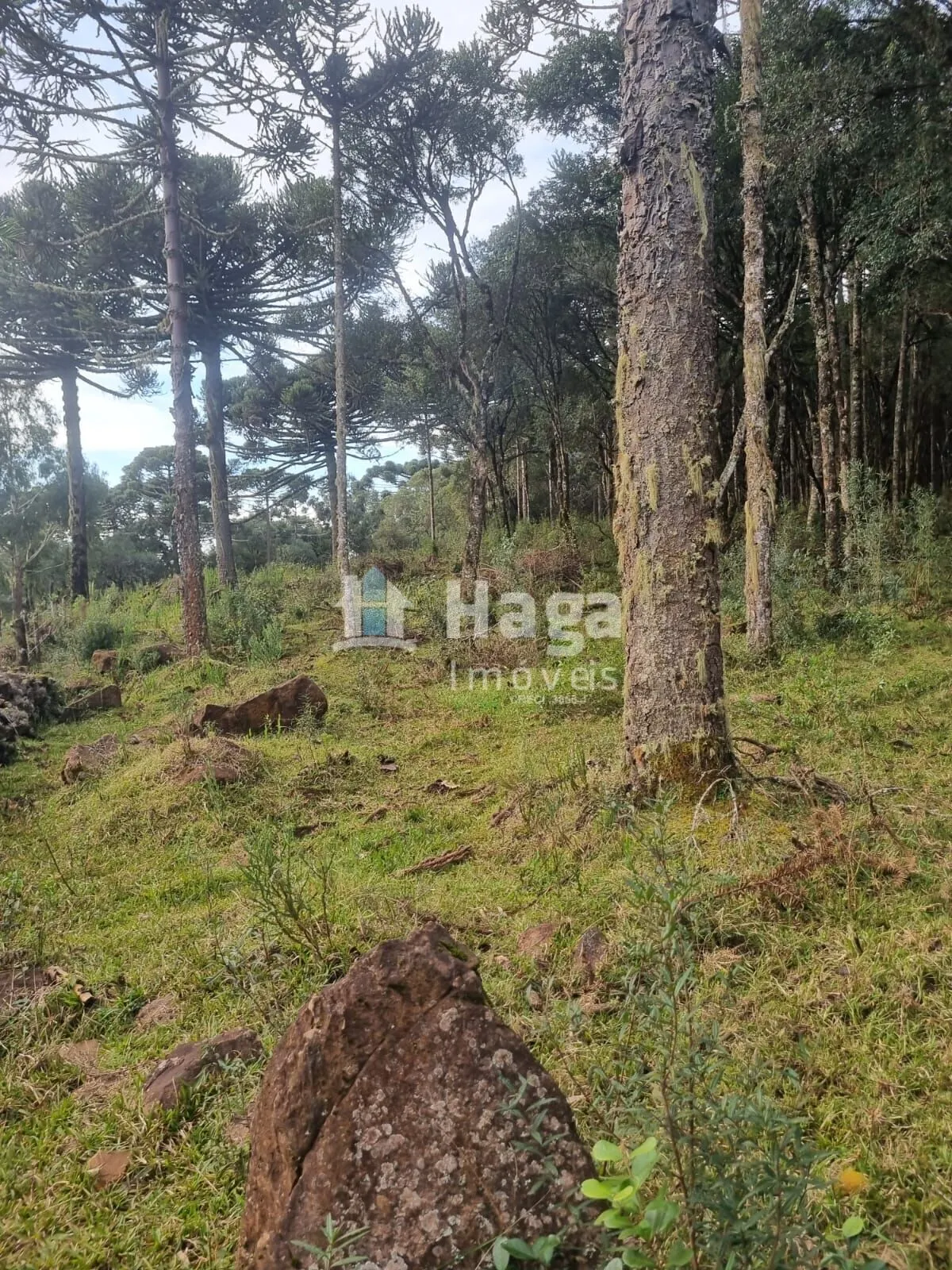 Fazenda à venda de 5 ha em Bom Jardim da Serra, SC, Brasil