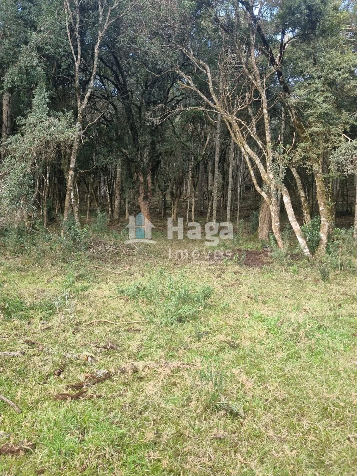 Fazenda à venda de 5 ha em Bom Jardim da Serra, SC, Brasil