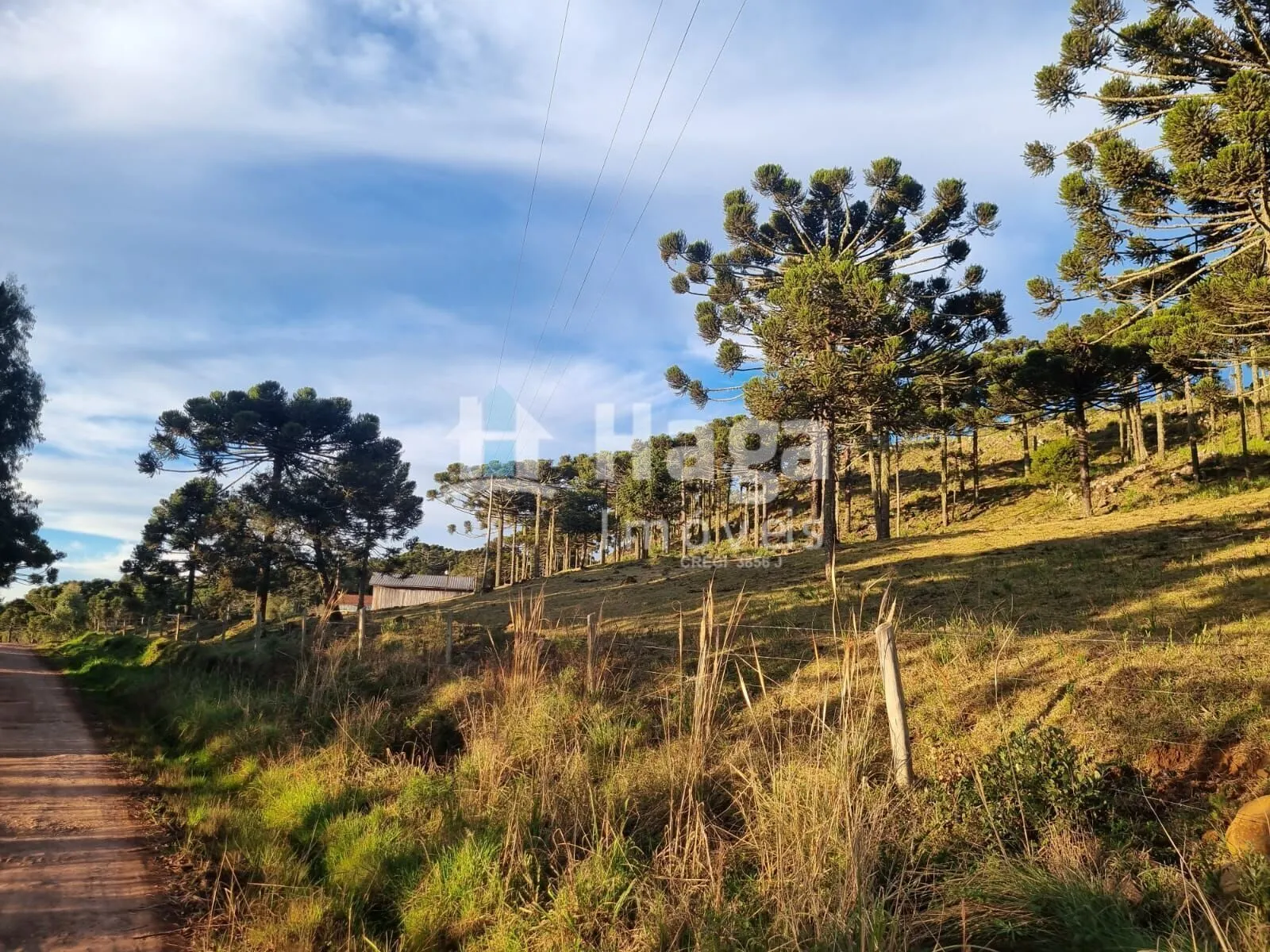 Fazenda à venda de 5 ha em Bom Jardim da Serra, SC, Brasil
