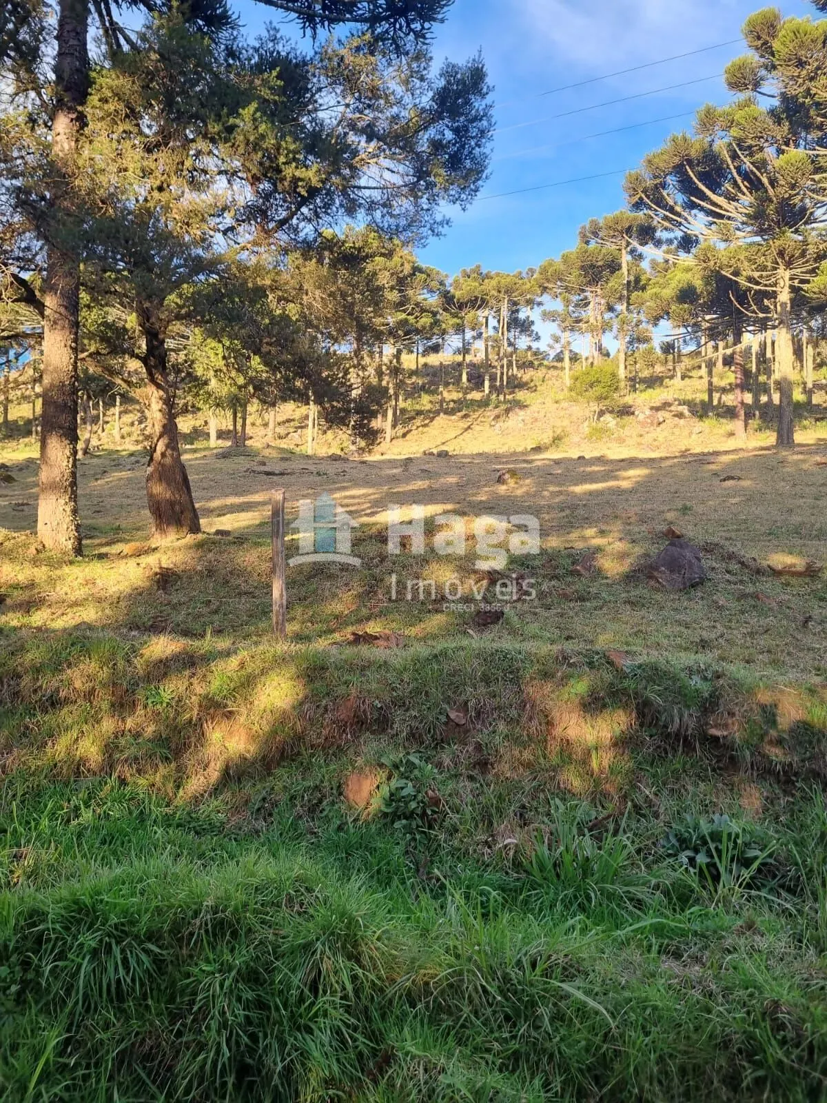 Fazenda à venda de 5 ha em Bom Jardim da Serra, SC, Brasil