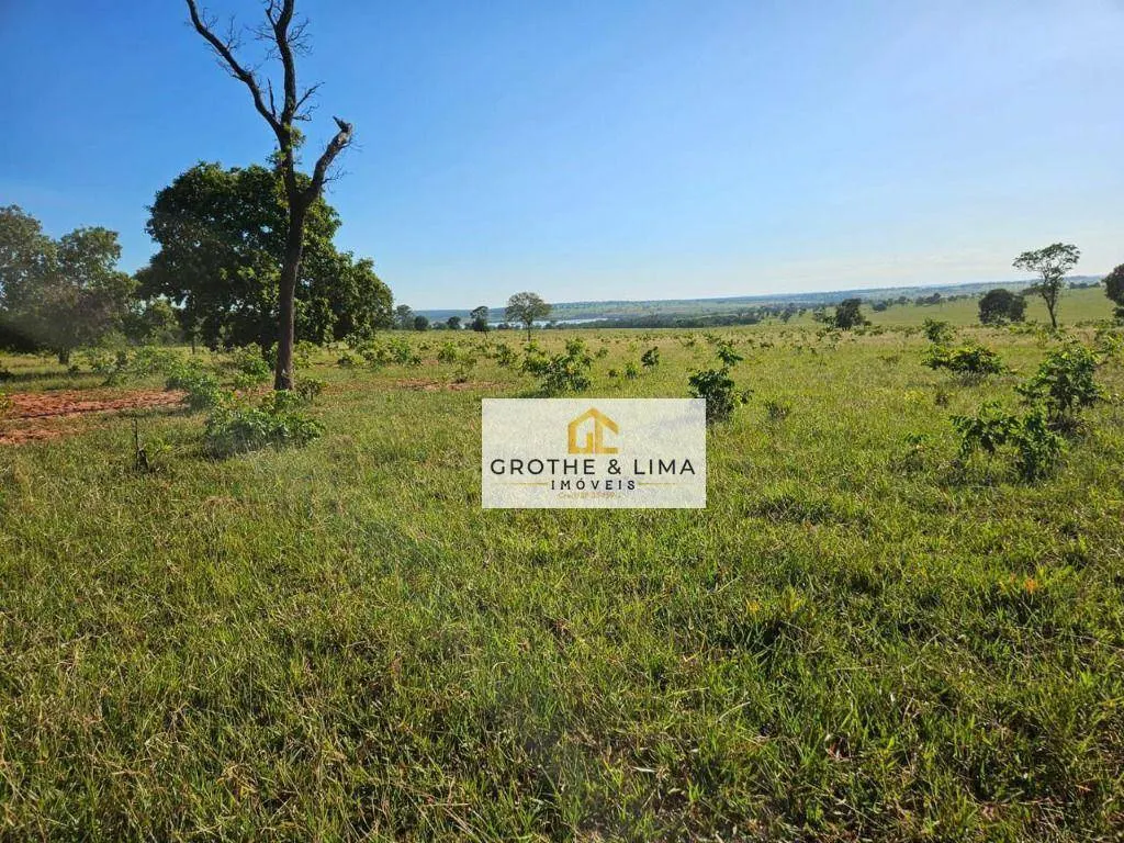 Fazenda à venda de 719 ha em Ribas do Rio Pardo, MS, Brasil
