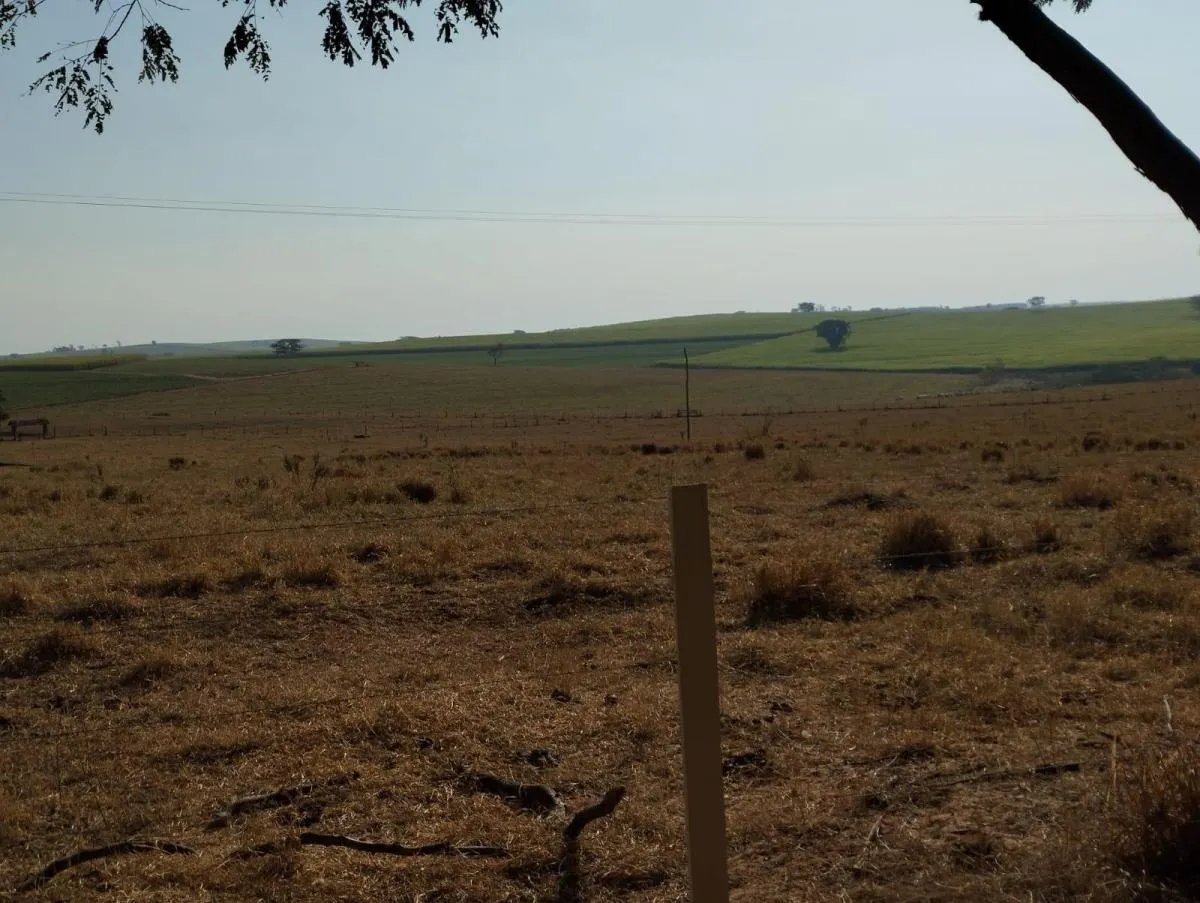 Fazenda à venda de 115 ha em Lins, SP, Brasil