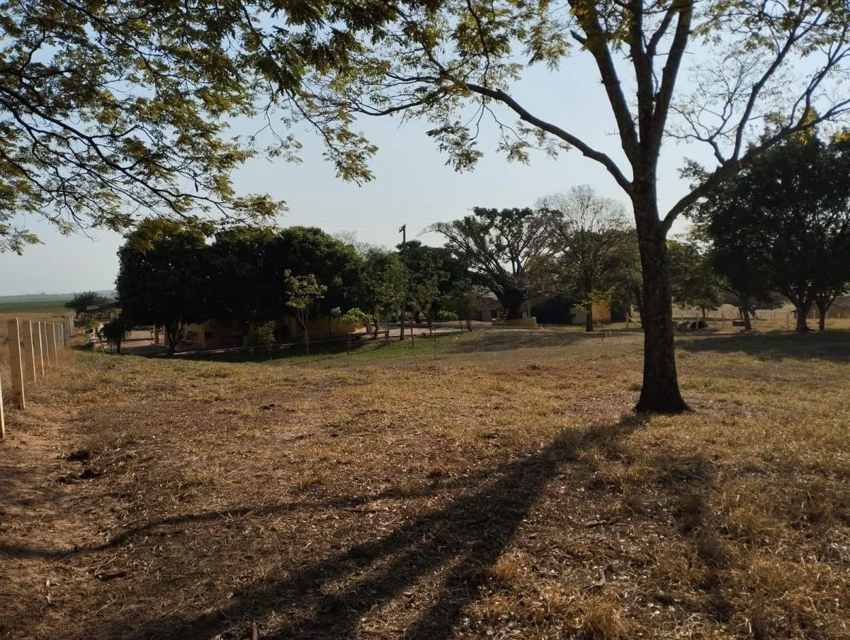 Fazenda à venda de 115 ha em Lins, SP, Brasil