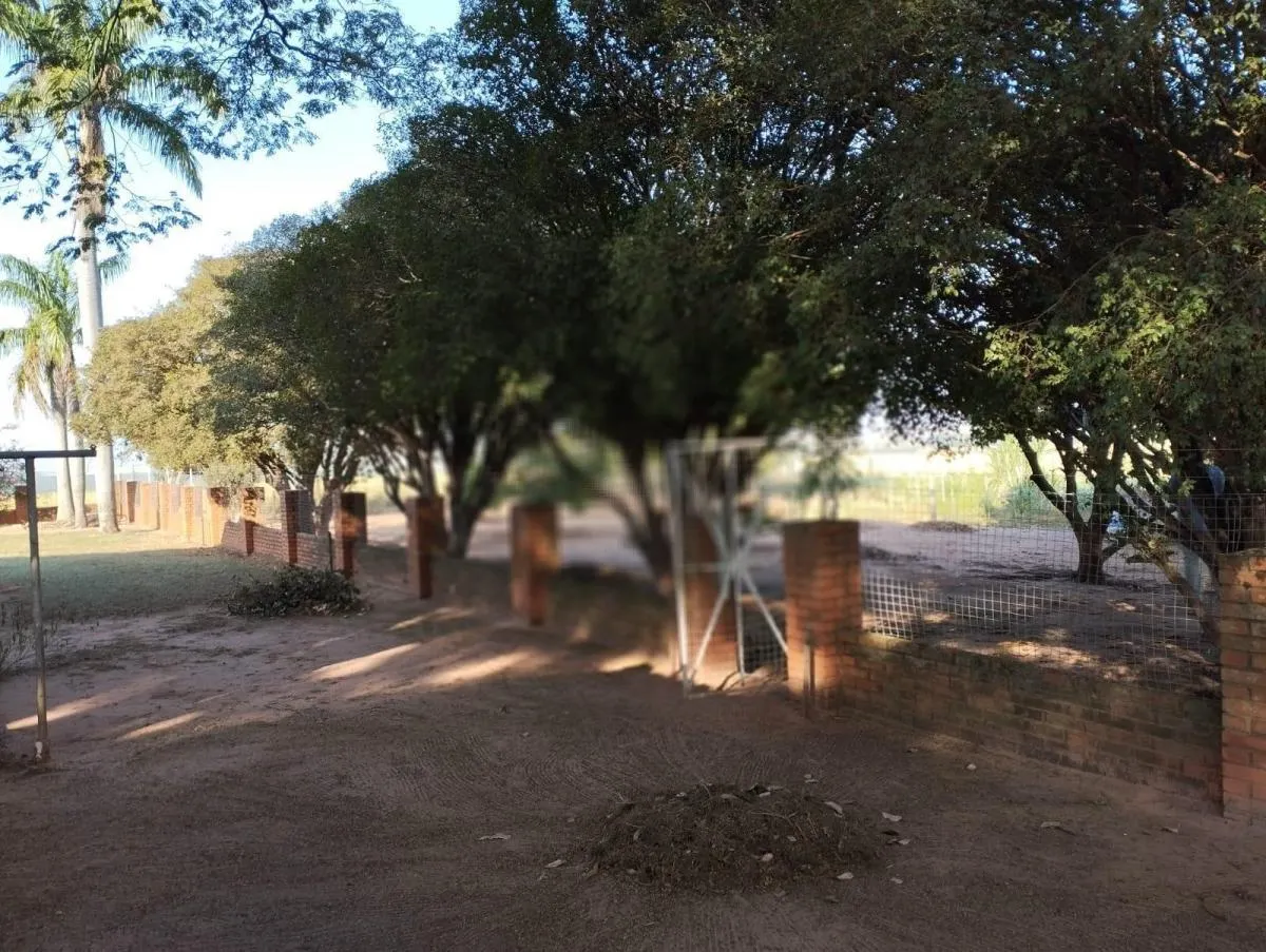 Fazenda à venda de 115 ha em Lins, SP, Brasil
