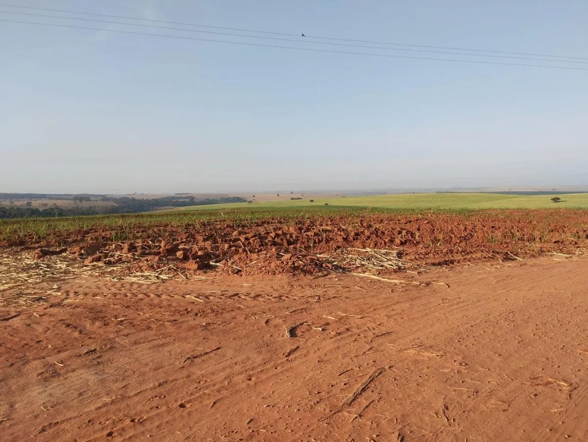 Fazenda à venda de 115 ha em Lins, SP, Brasil
