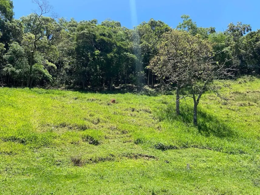 Sítio à venda de 3 ha em São José dos Campos, SP, Brasil