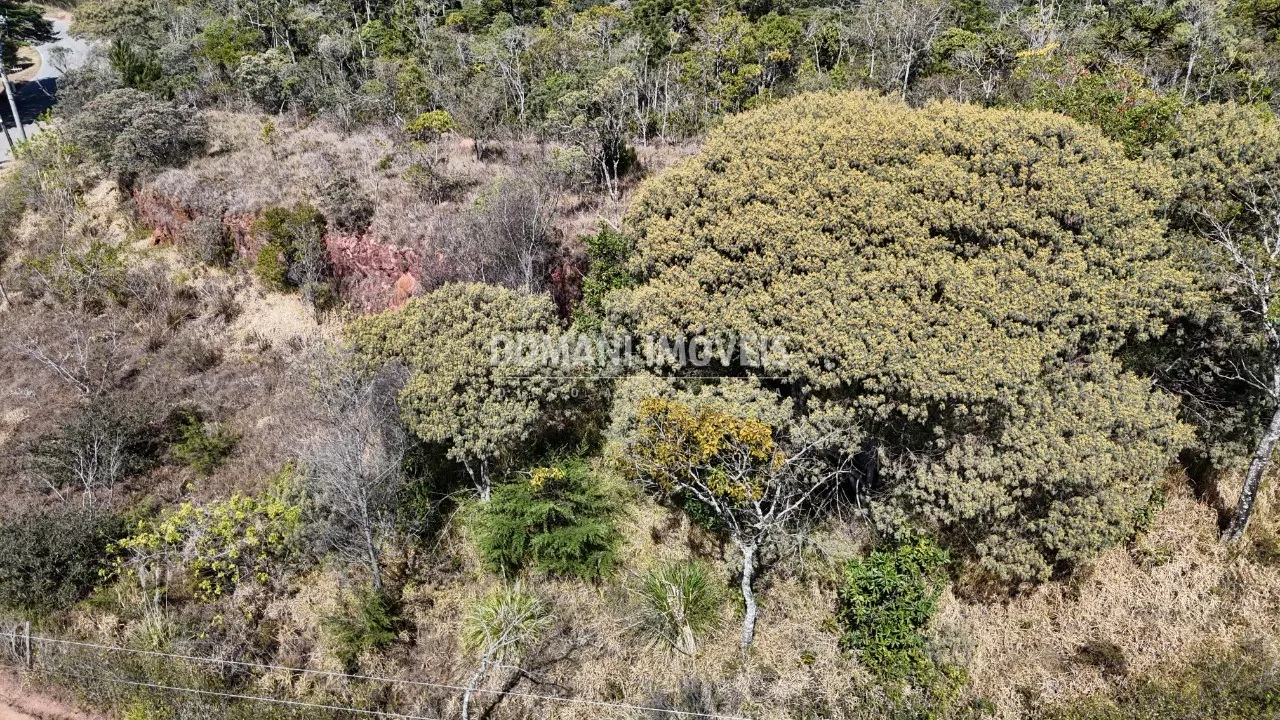 Terreno à venda de 8.350 m² em Campos do Jordão, SP, Brasil