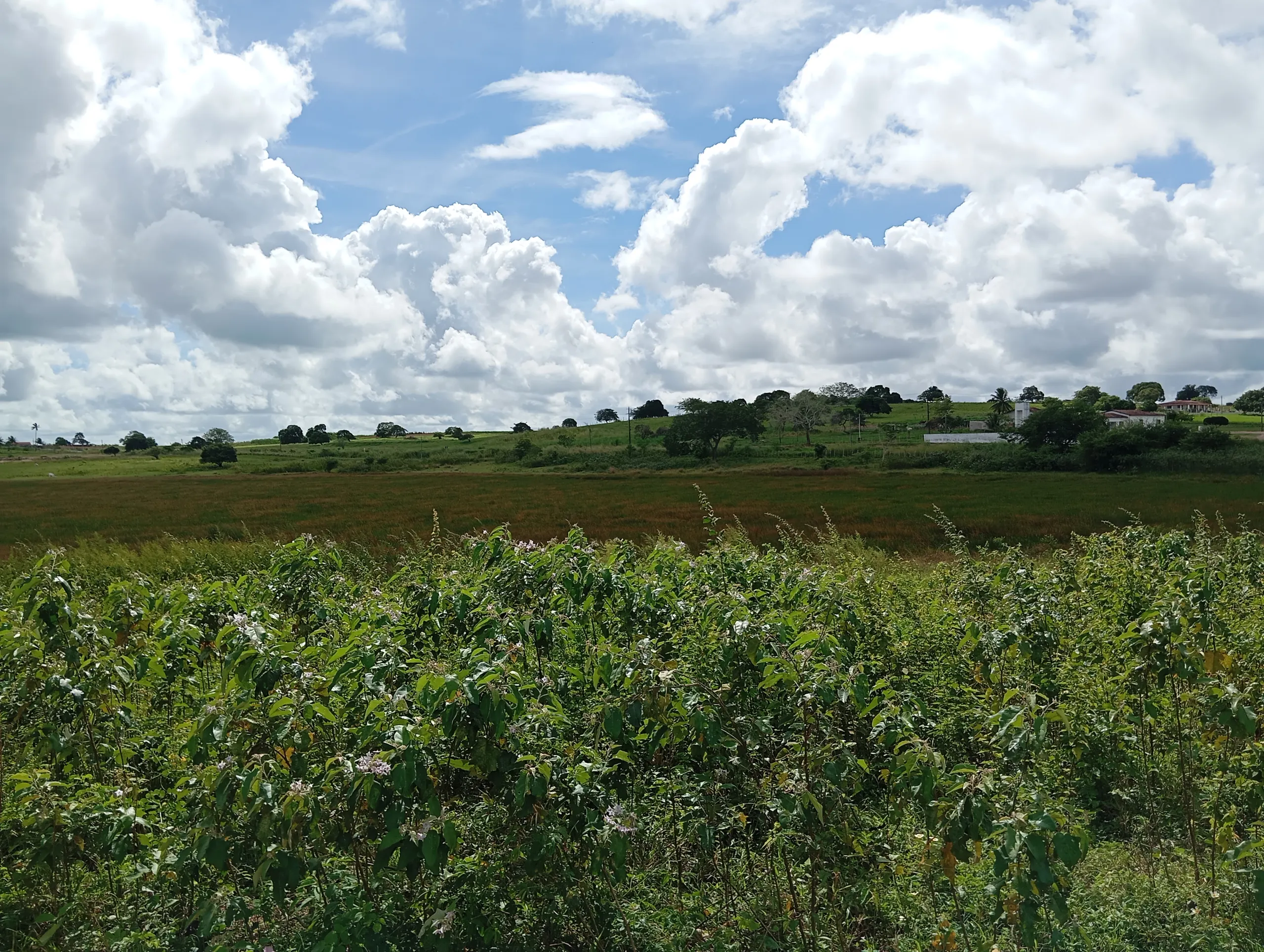 Terreno à venda de 7 ha em Caldas Brandão, PB, Brasil