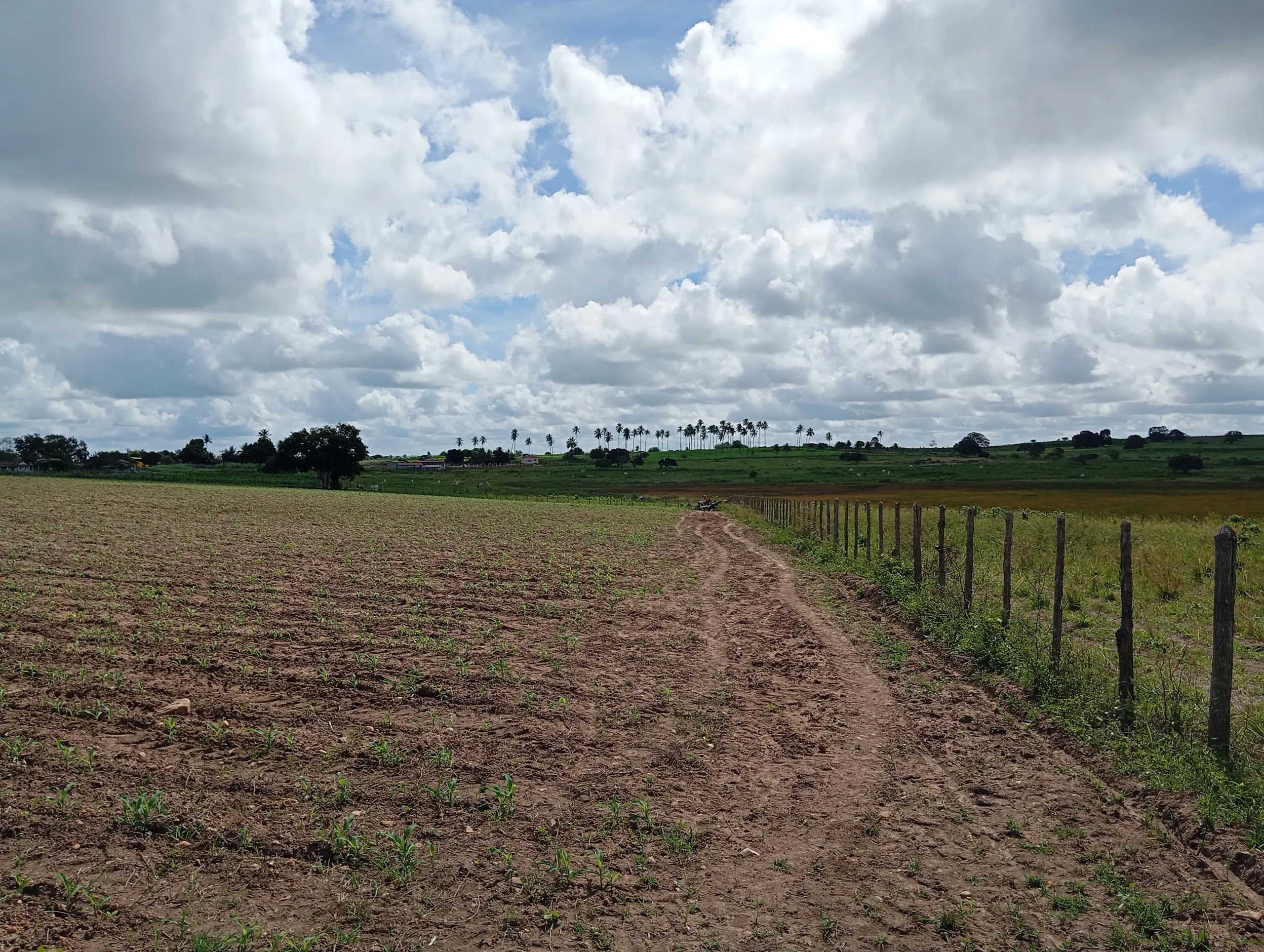 Terreno à venda de 7 ha em Caldas Brandão, PB, Brasil