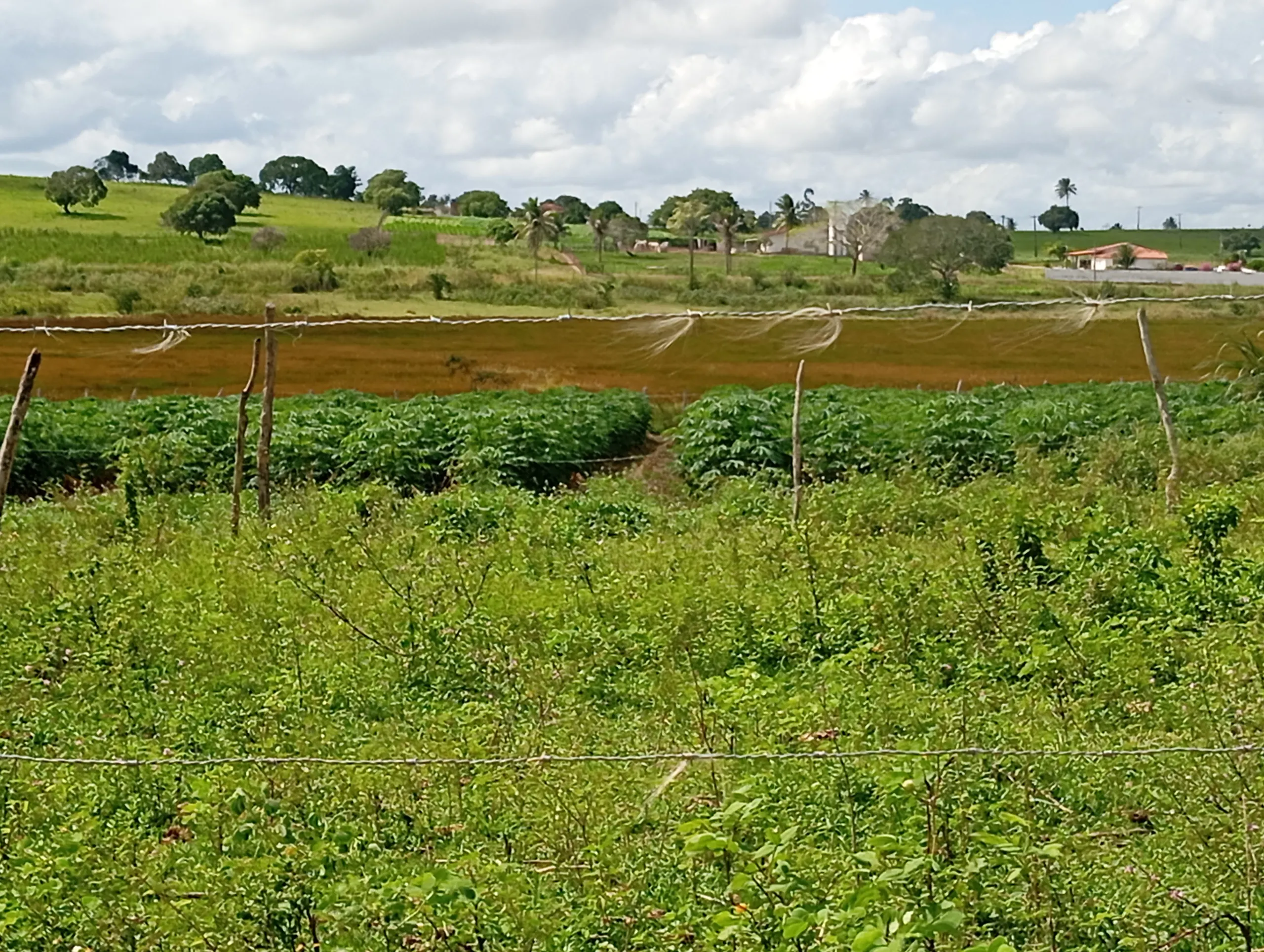 Terreno à venda de 7 ha em Caldas Brandão, PB, Brasil