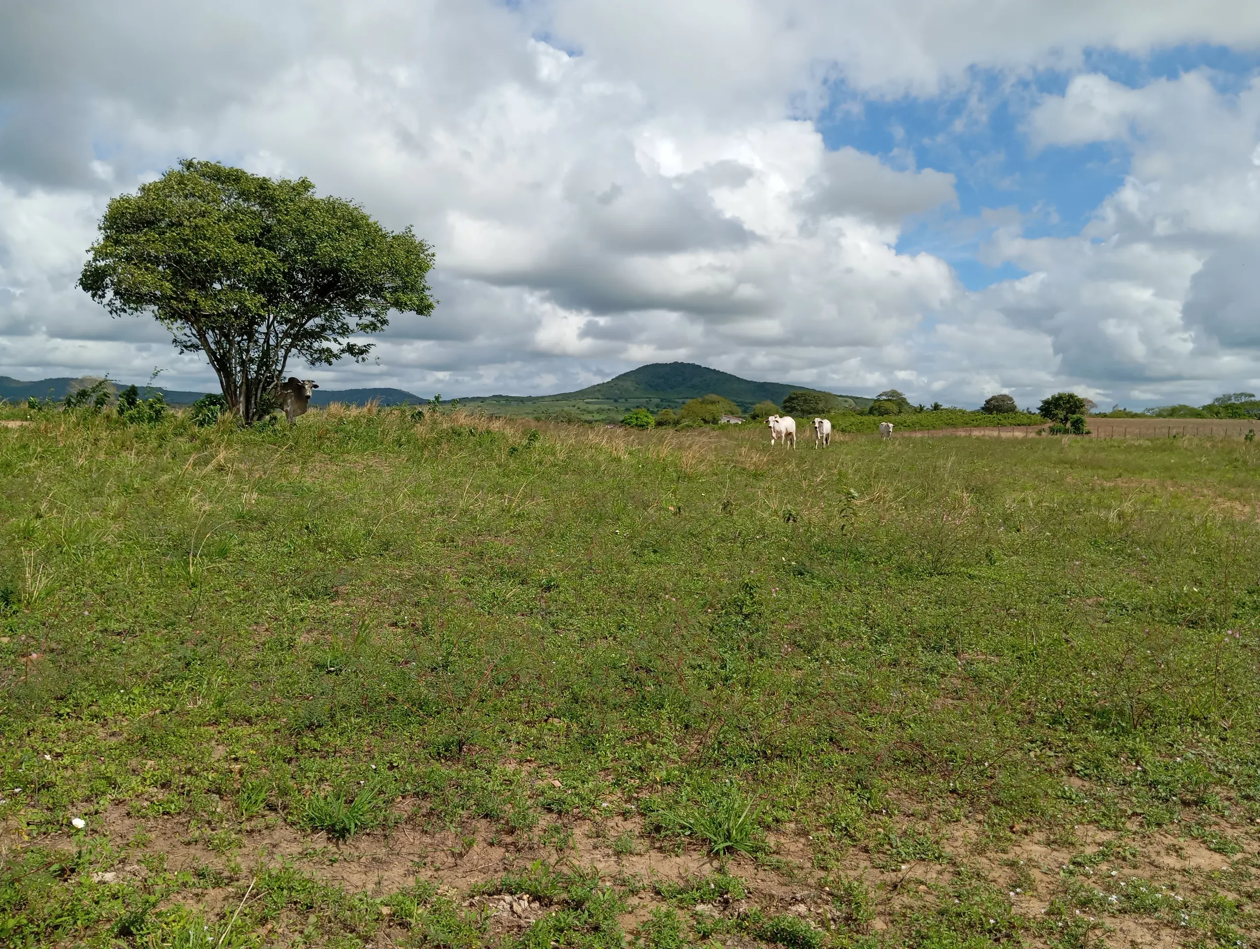 Terreno à venda de 7 ha em Caldas Brandão, PB, Brasil