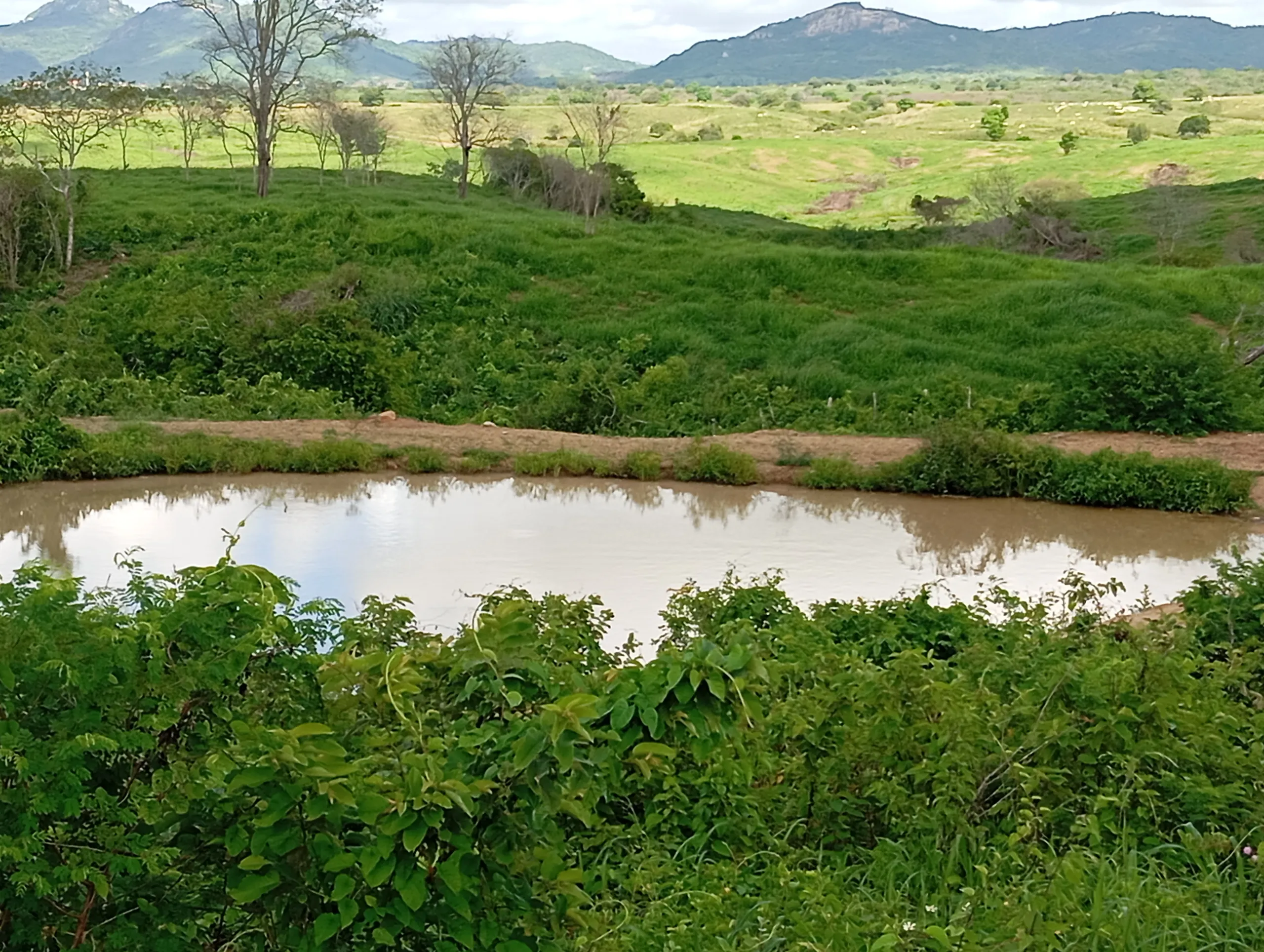 Terreno à venda de 7 ha em Caldas Brandão, PB, Brasil