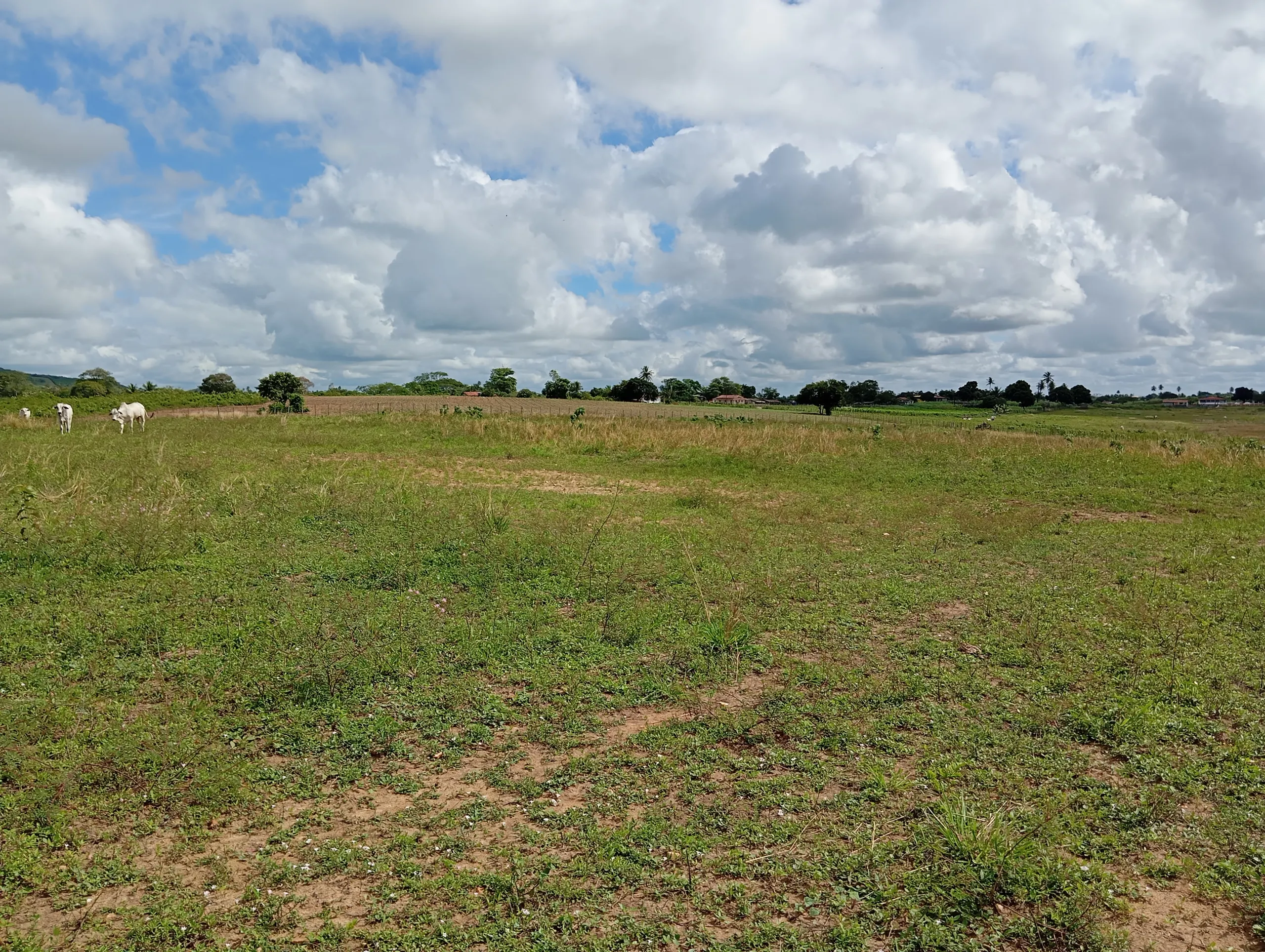 Terreno à venda de 7 ha em Caldas Brandão, PB, Brasil