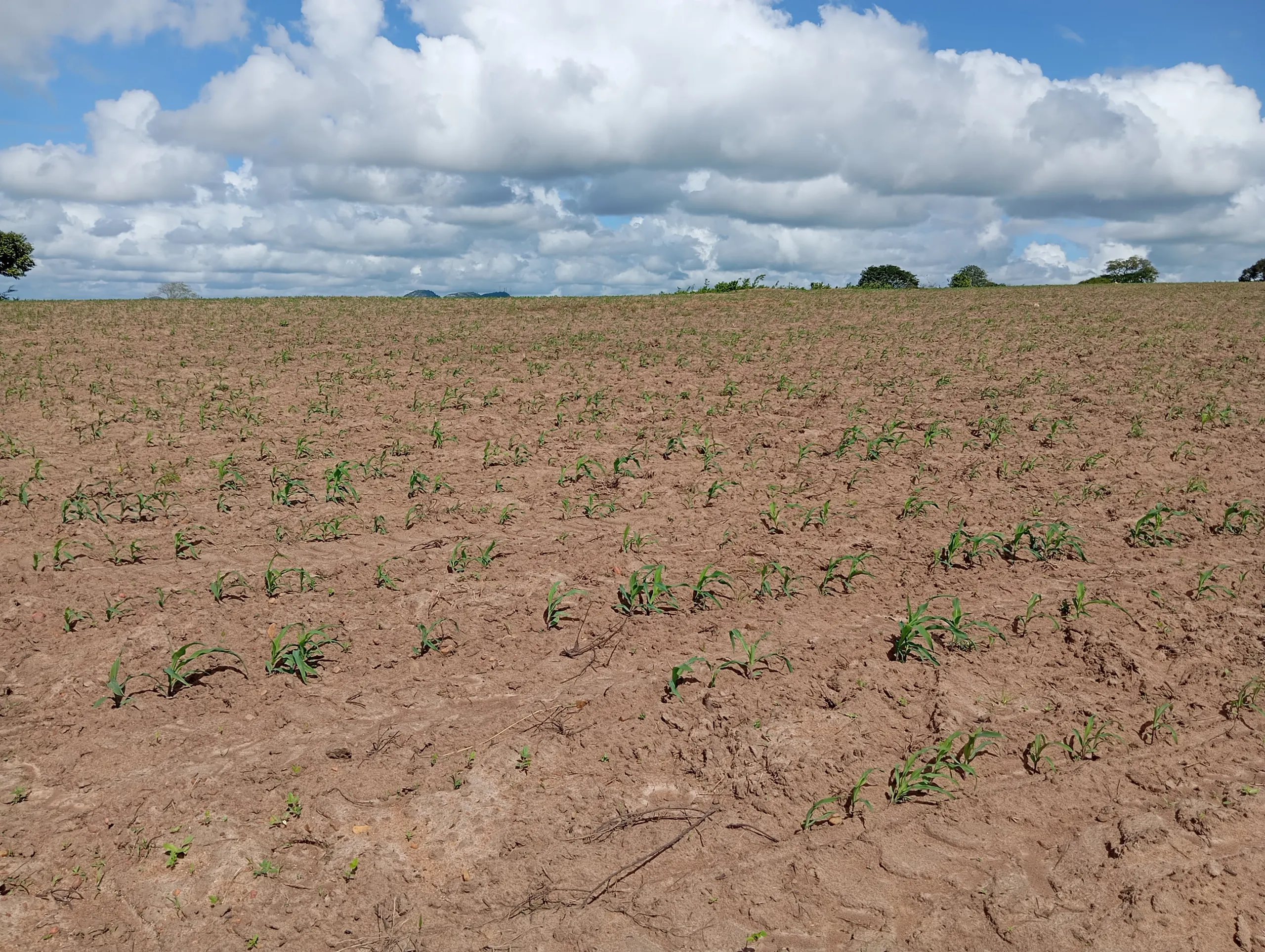 Terreno à venda de 7 ha em Caldas Brandão, PB, Brasil