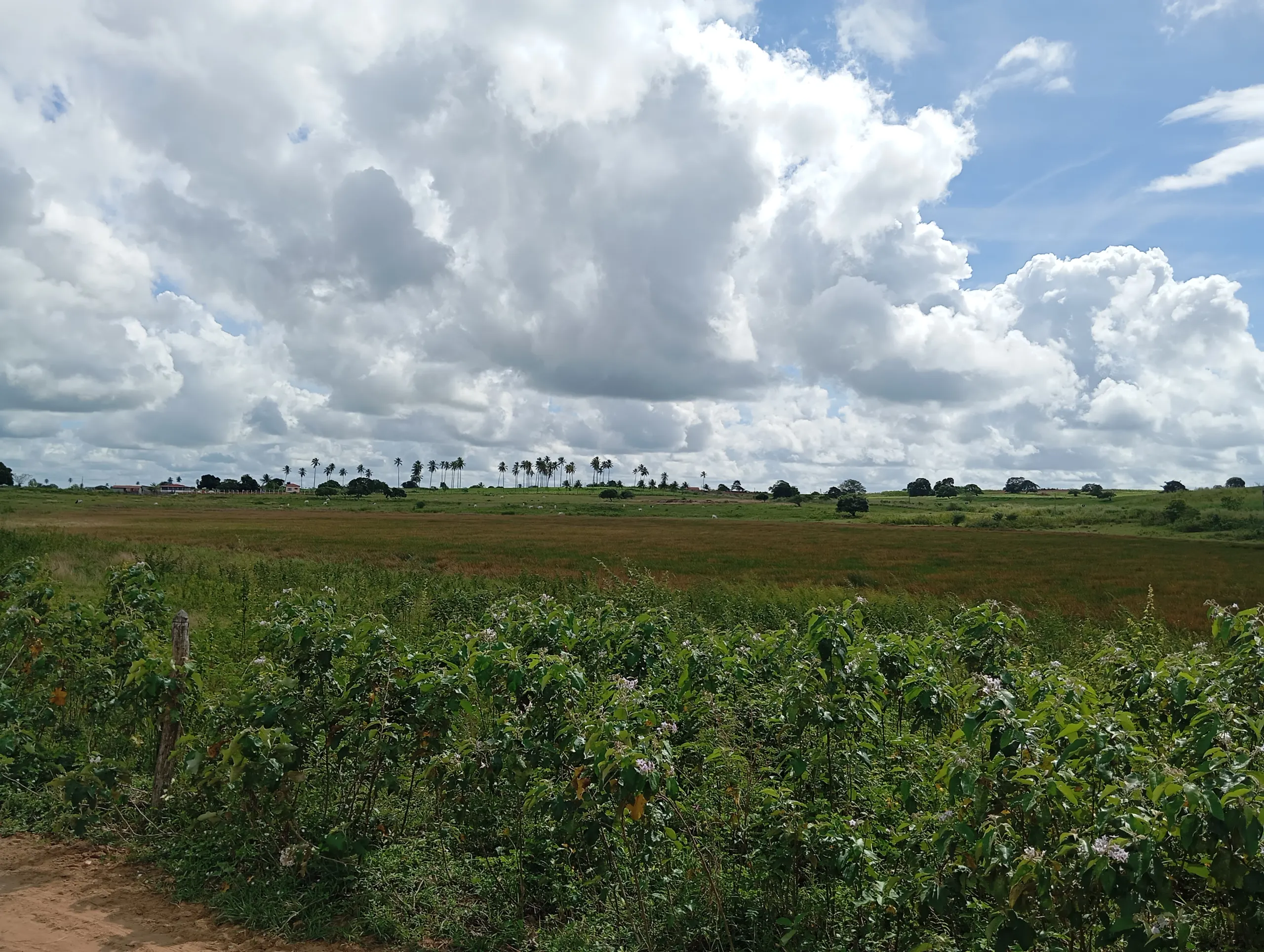 Terreno à venda de 7 ha em Caldas Brandão, PB, Brasil