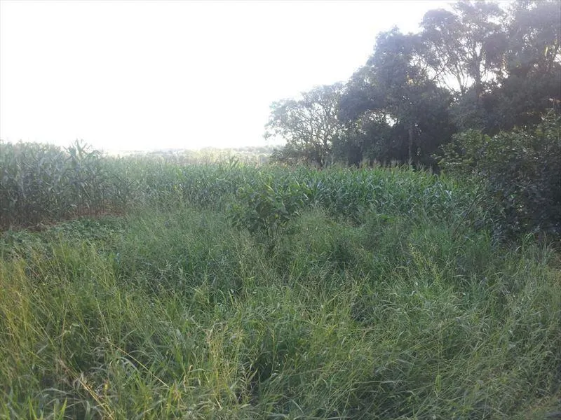 Sítio à venda de 15 ha em Capela do Alto, SP, Brasil